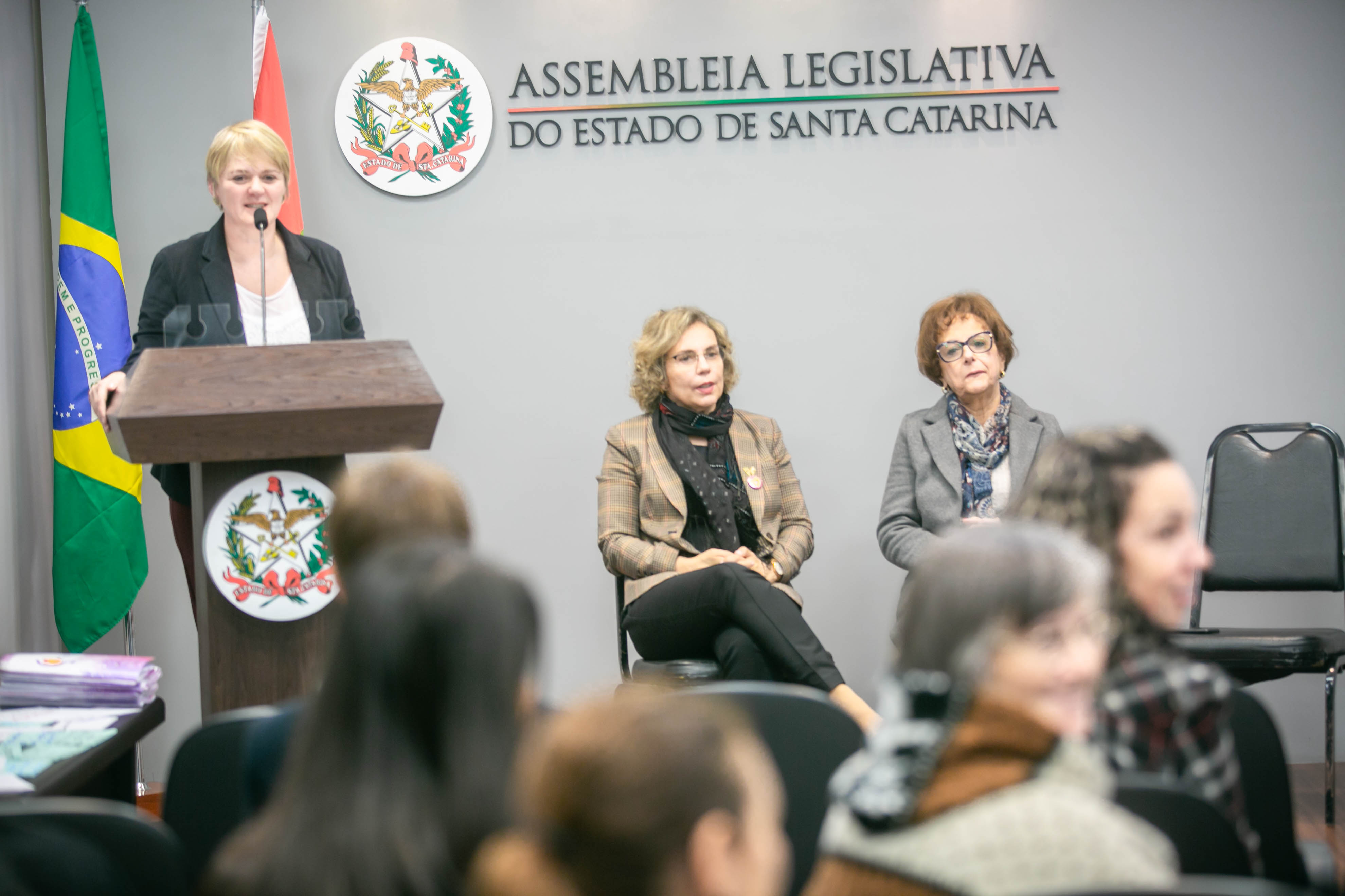 Reunião da Bancada Feminina