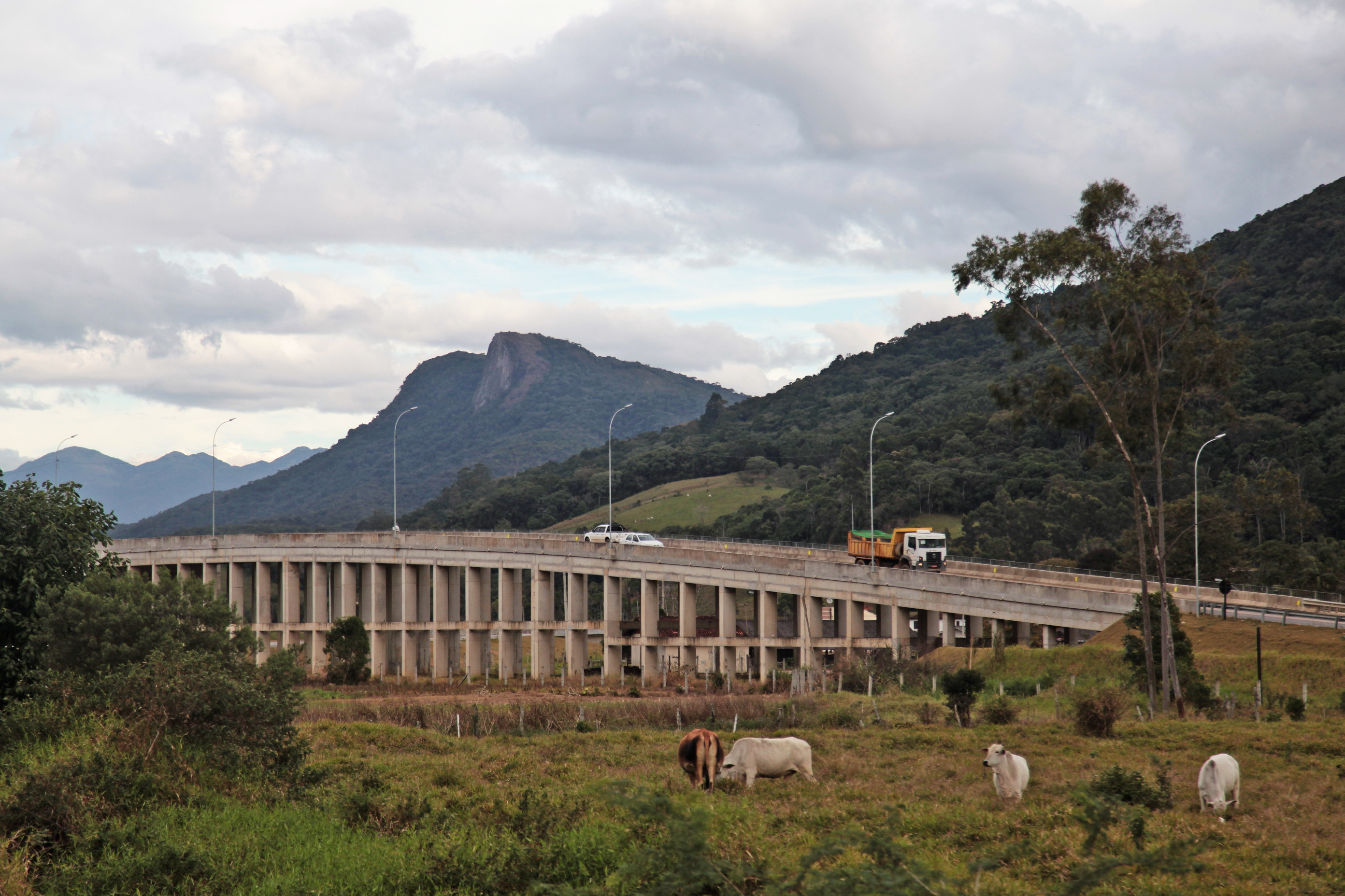 Equipe da Comissão de Transportes da Alesc Visita Obras do Anel Viário de Florianópolis.