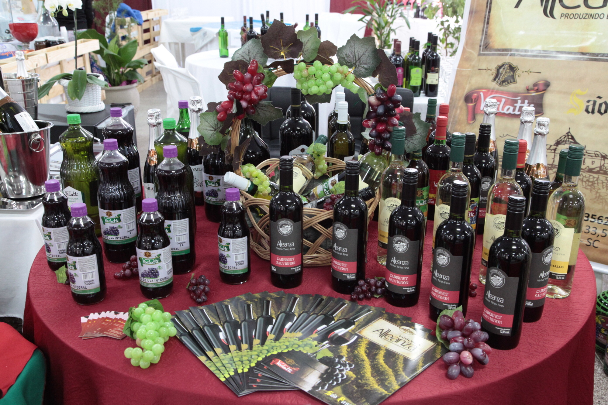 Mostra do Vinho evidencia potencialidades do Vale do Rio do Peixe