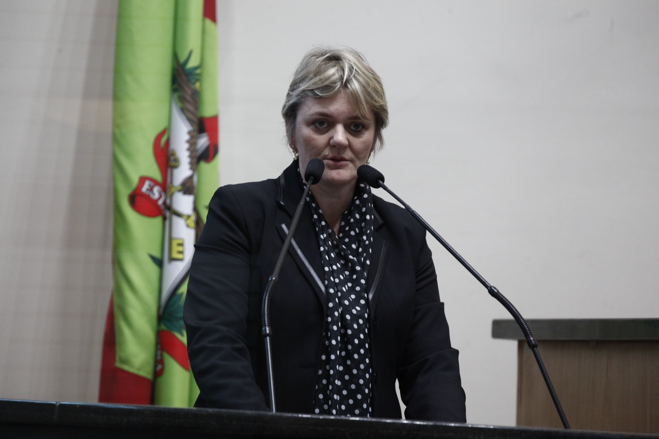 Deputada Luciane Carminatti (PT)