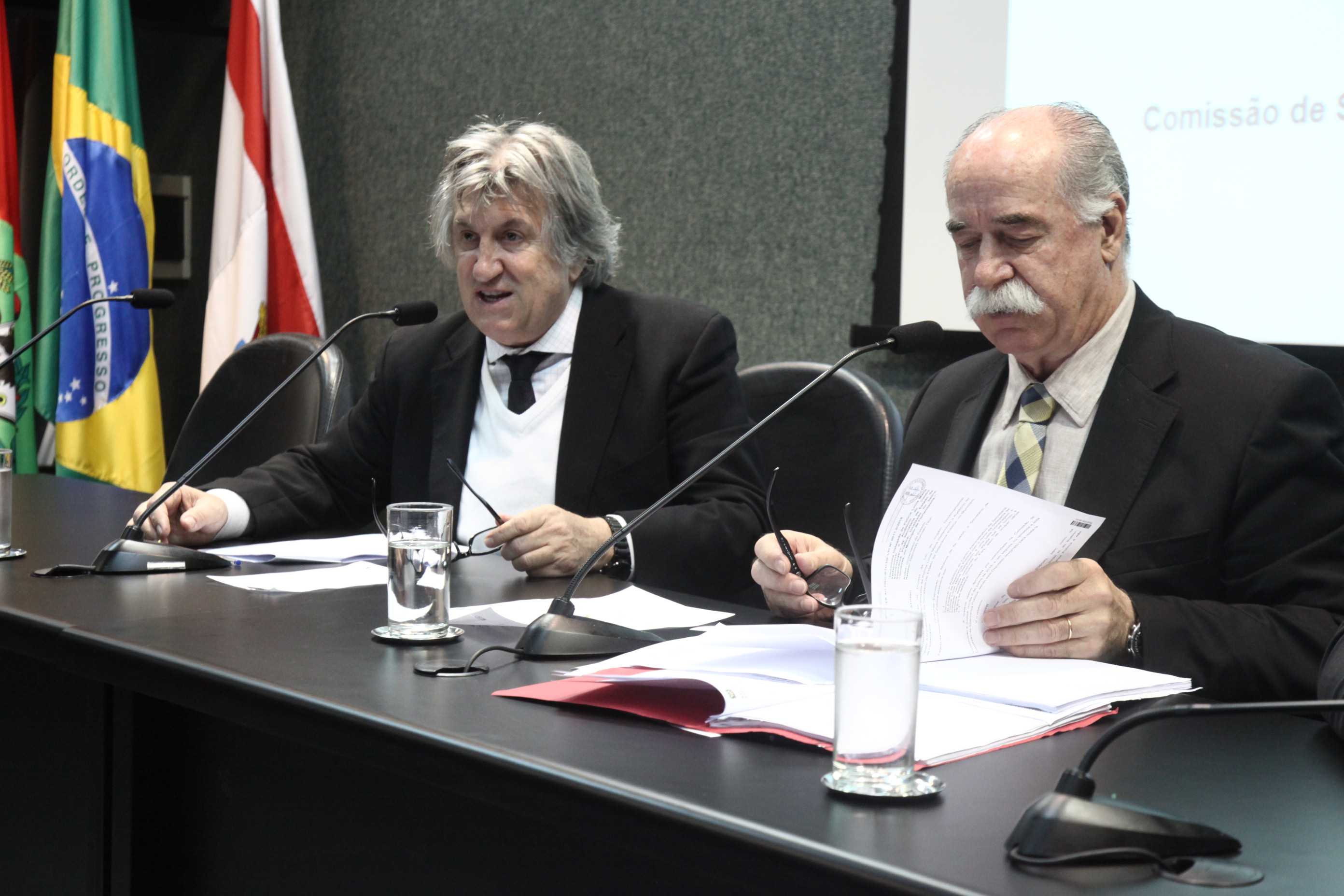 Comissão de Segurança Pública
