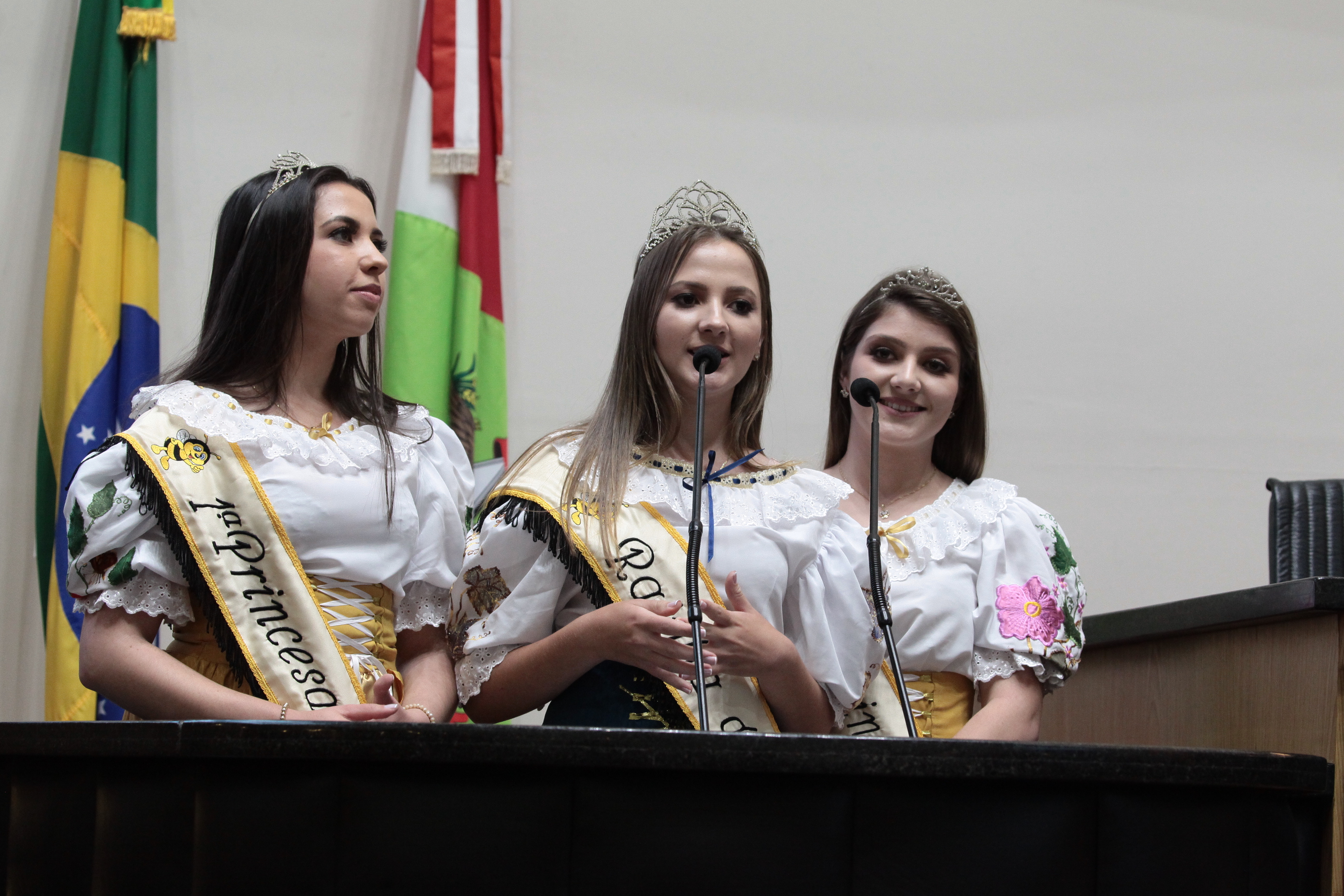 A 12ª Festa Regional do Mel de Santa Terezinha