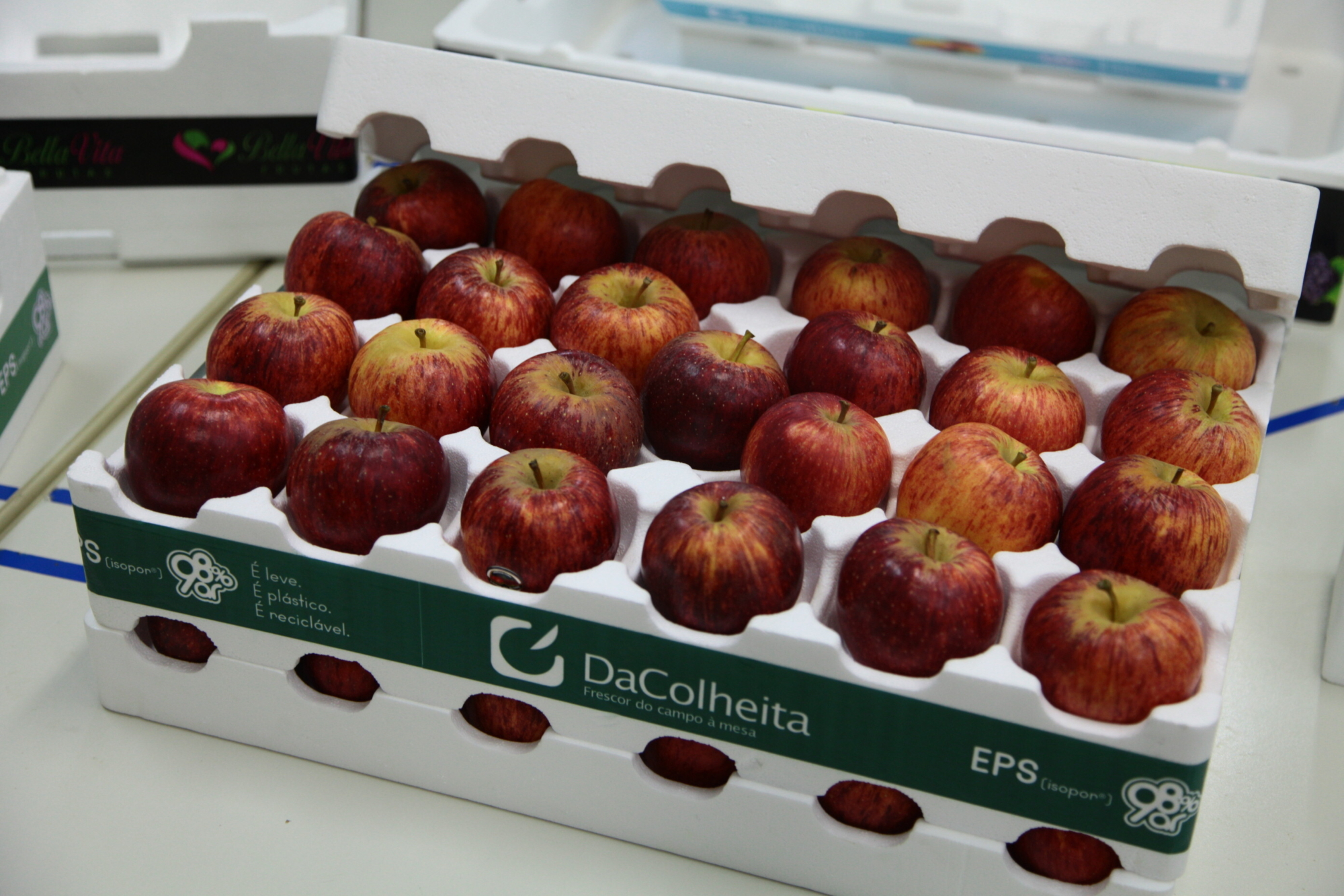 Conservadora de frutas em EPS.