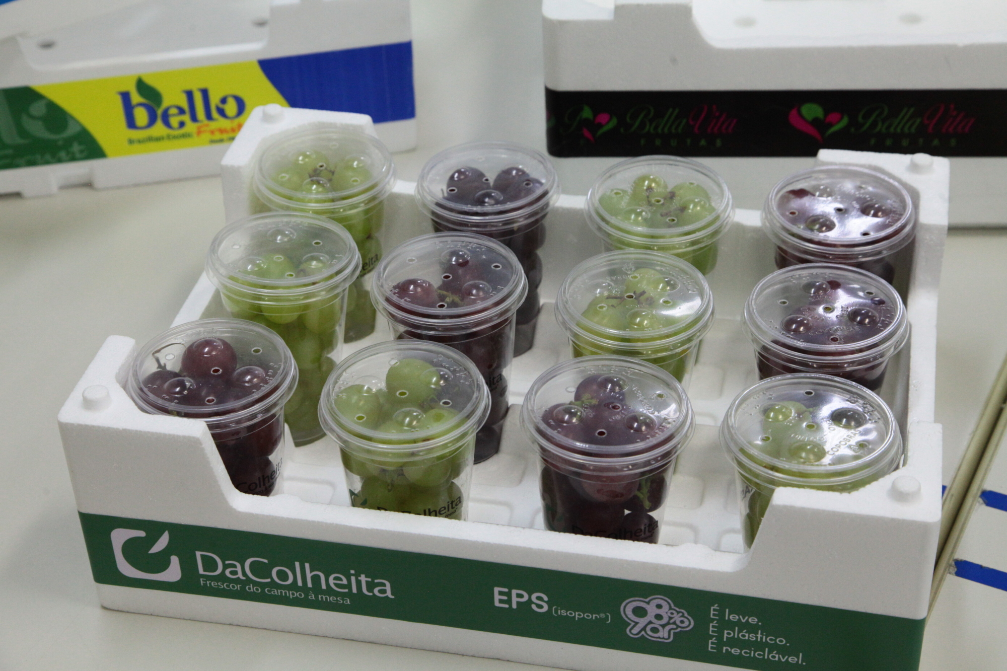 Conservadora de frutas em EPS.