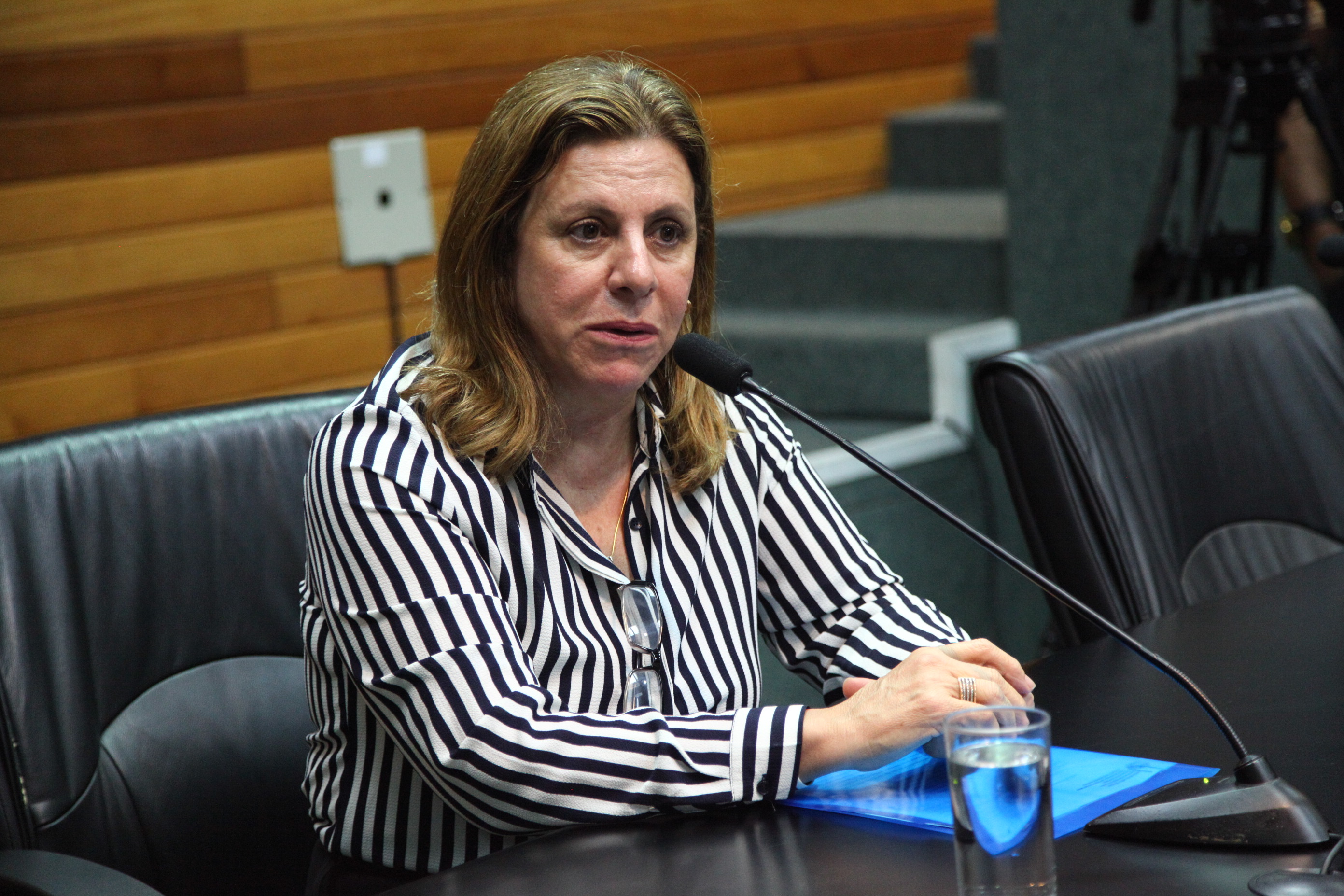 Comissão de Saúde - Raquel Bitencourt, diretora de Vigilância Sanitária - Foto: Solon Soares