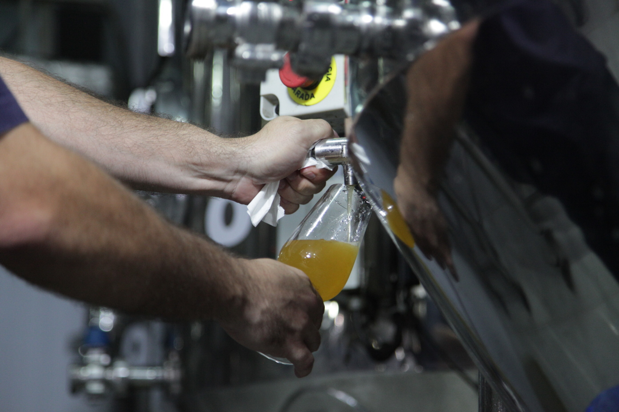 Roteiro cervejeiro do Vale do Itajaí dá os primeiros passos