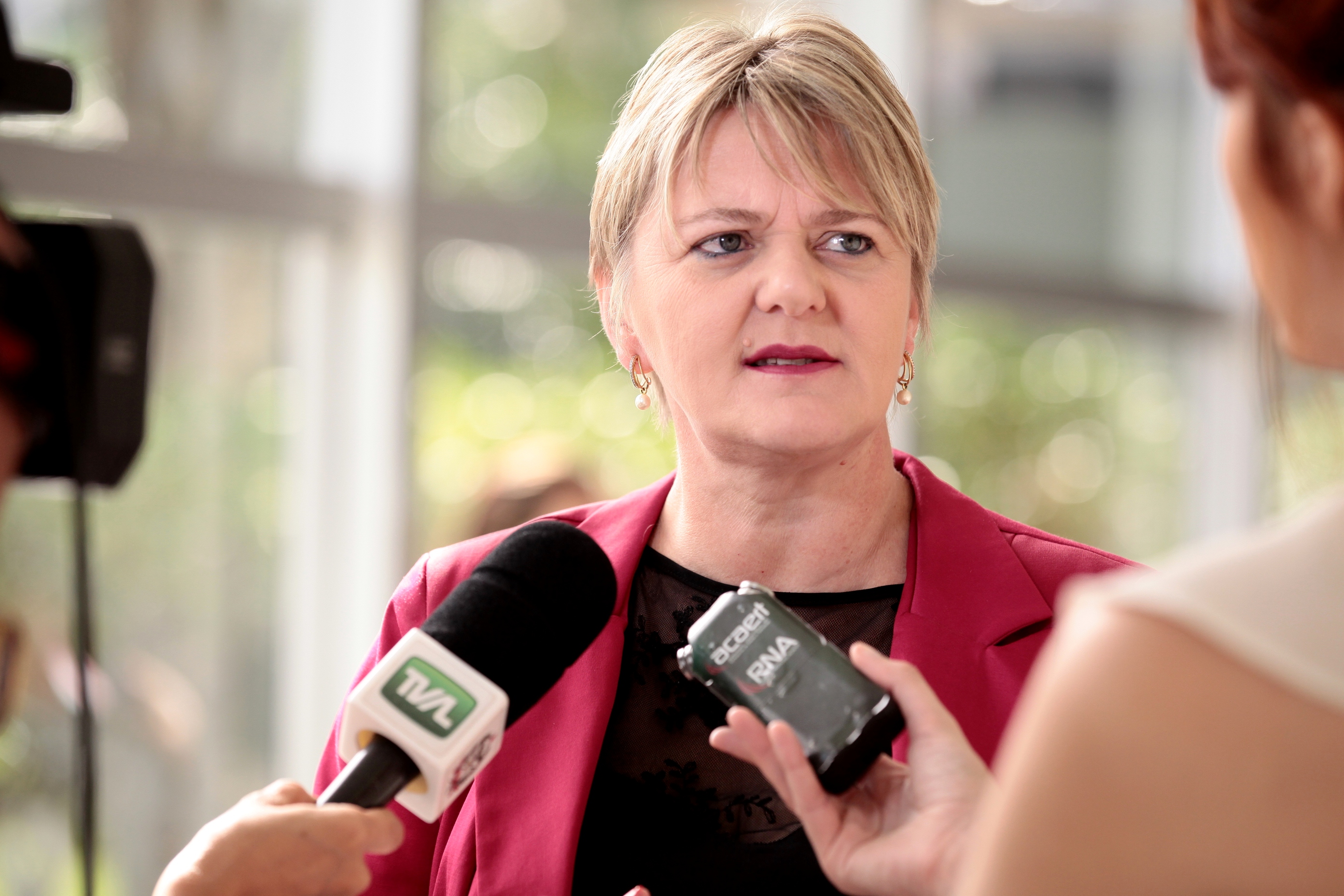 Deputada Luciane Carminatti (PT)