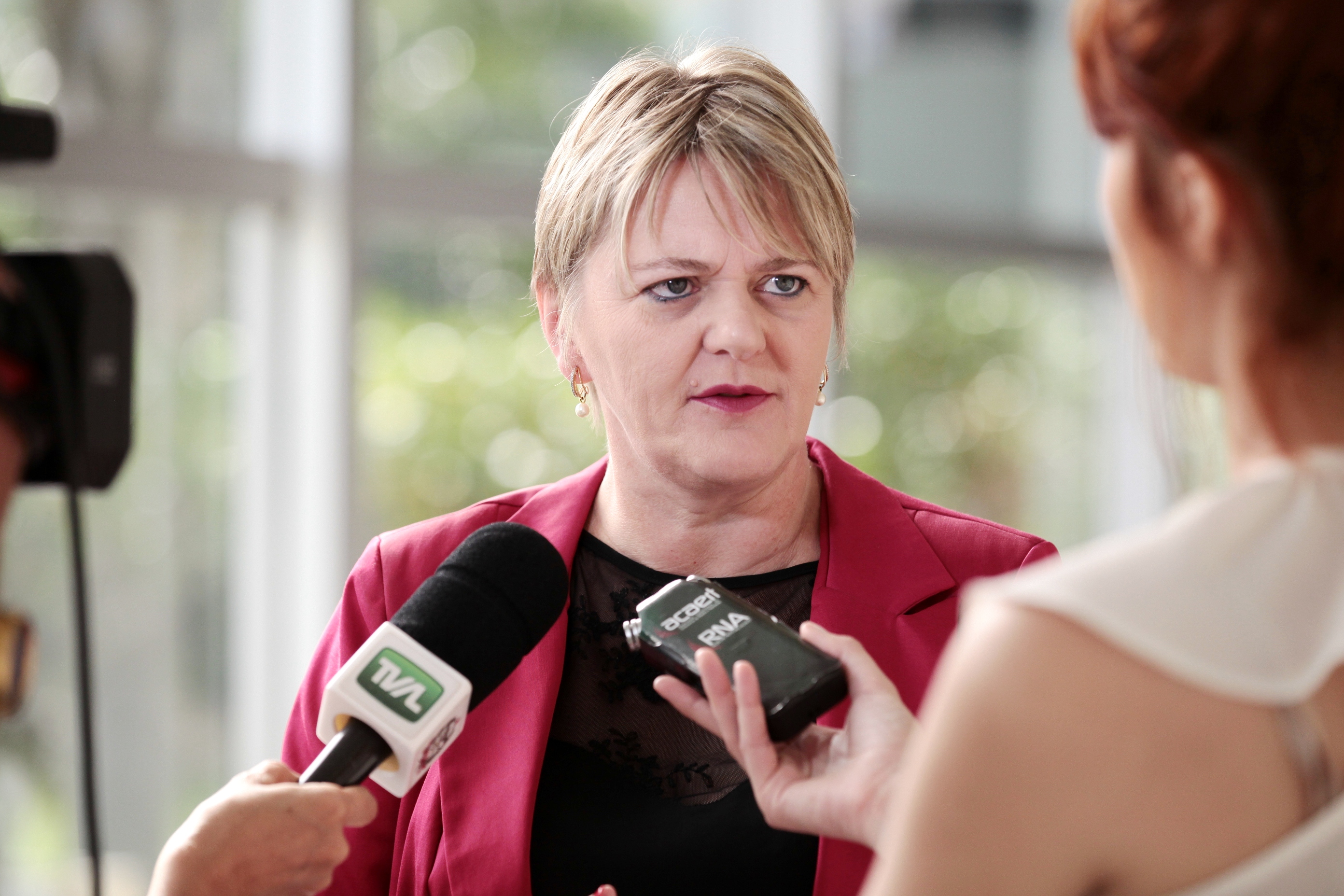 Deputada Luciane Carminatti (PT)