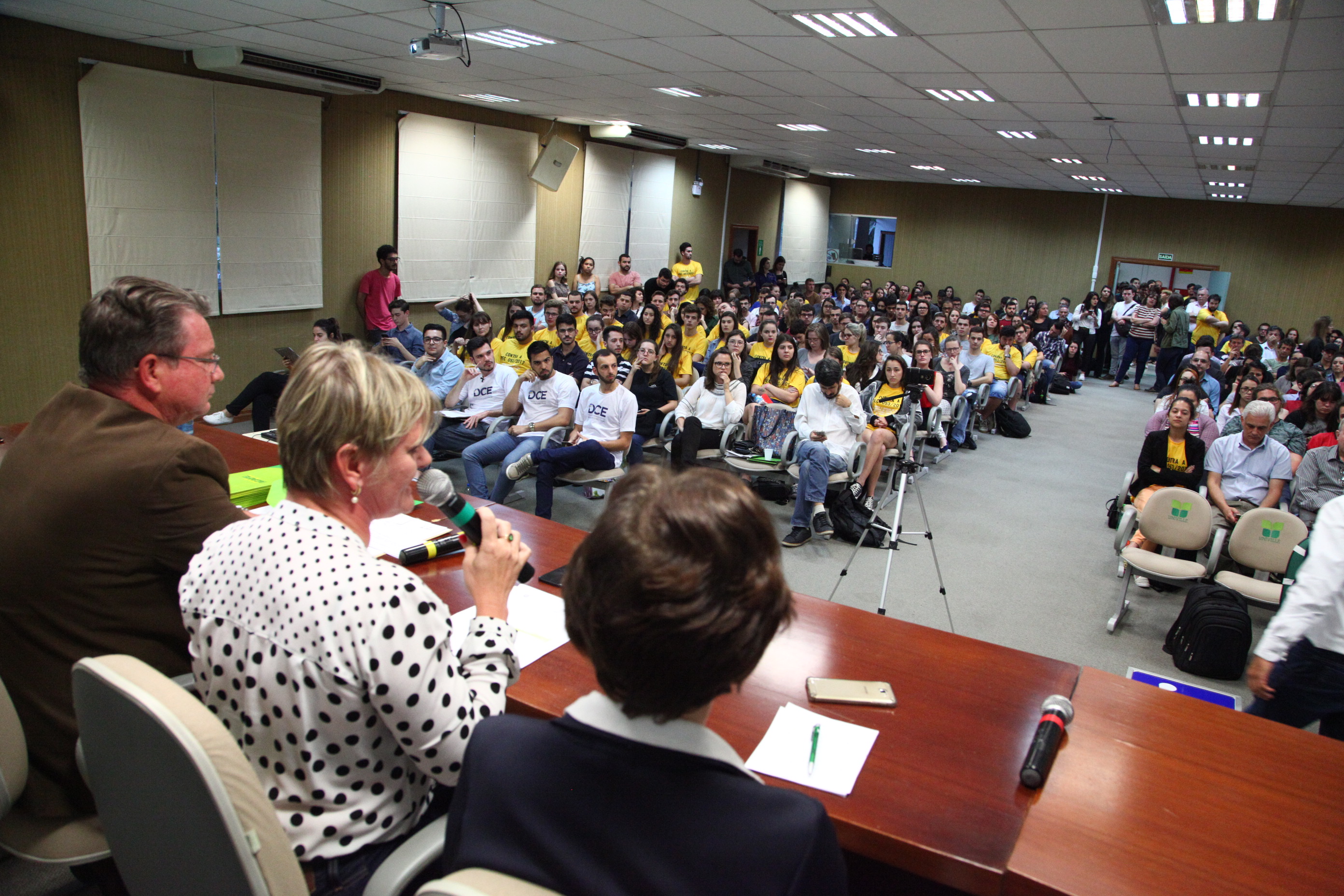 Audiência Pública em Joinville - Artigo 170
