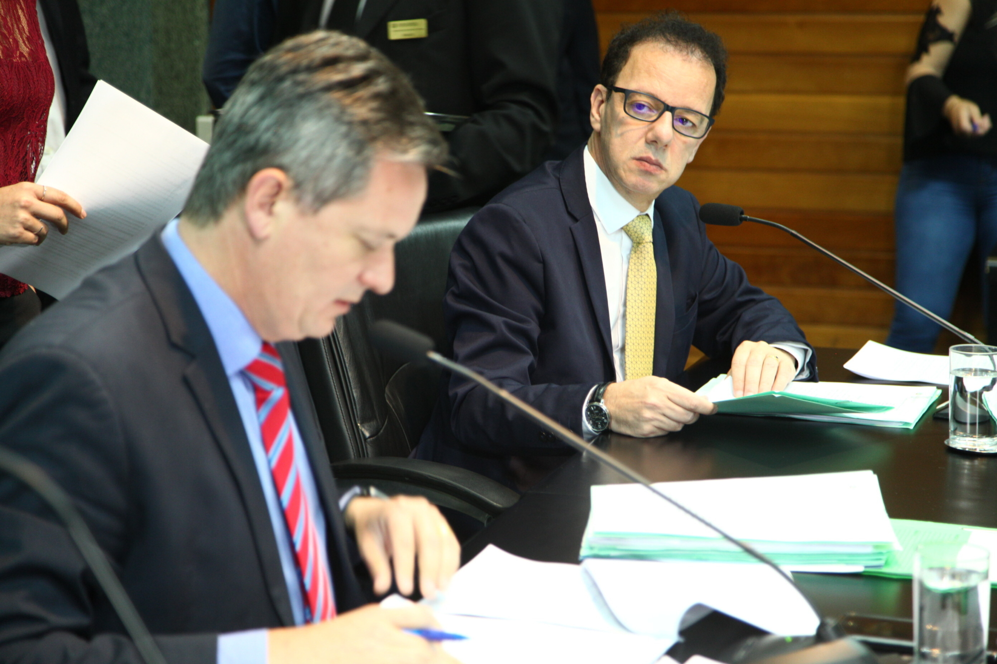 CCJ aprova projeto que altera a cobrança de ICMS a produtores de suínos