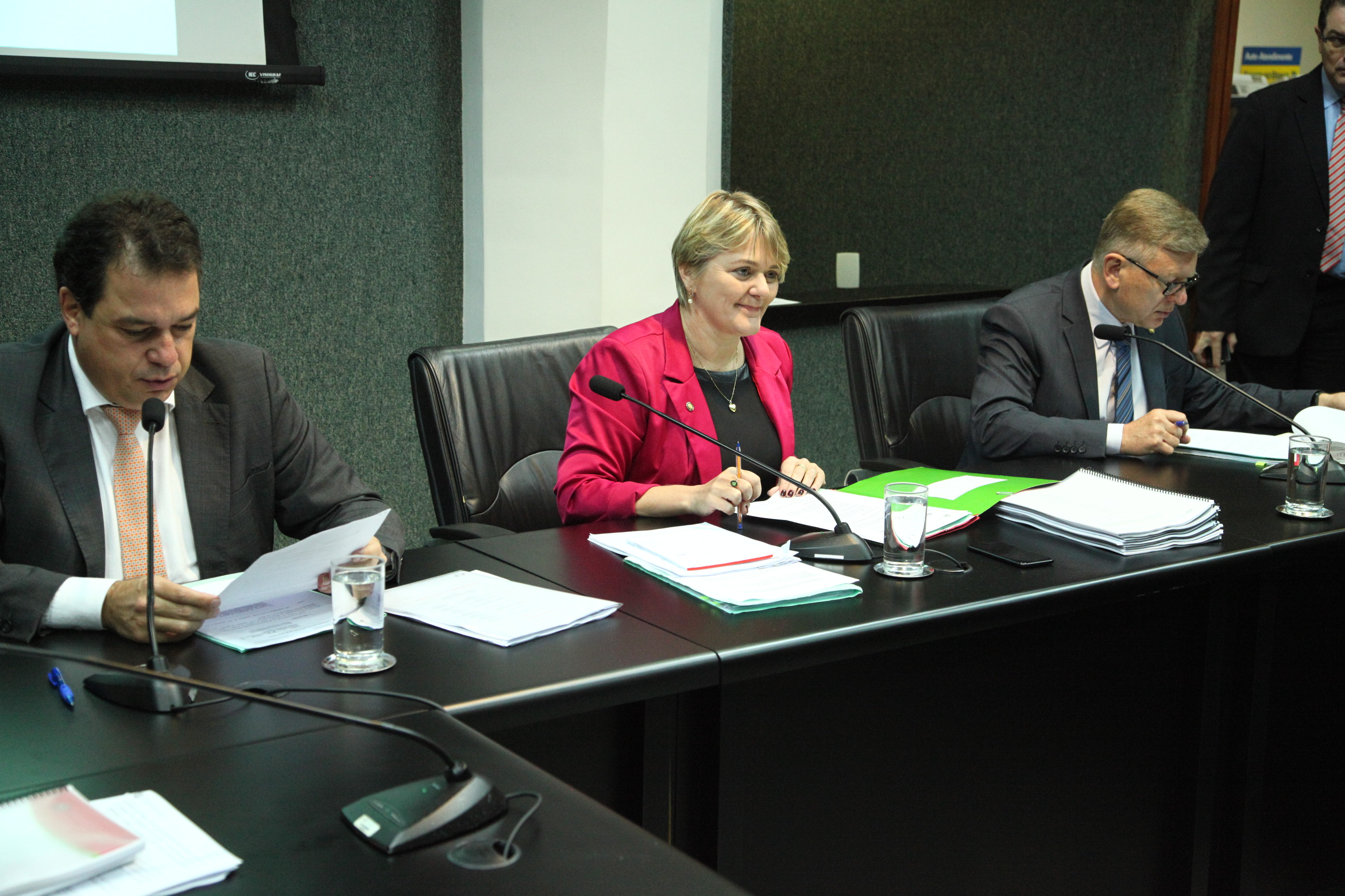 Comissão de Defesa dos Direitos da Pessoa com Deficiência