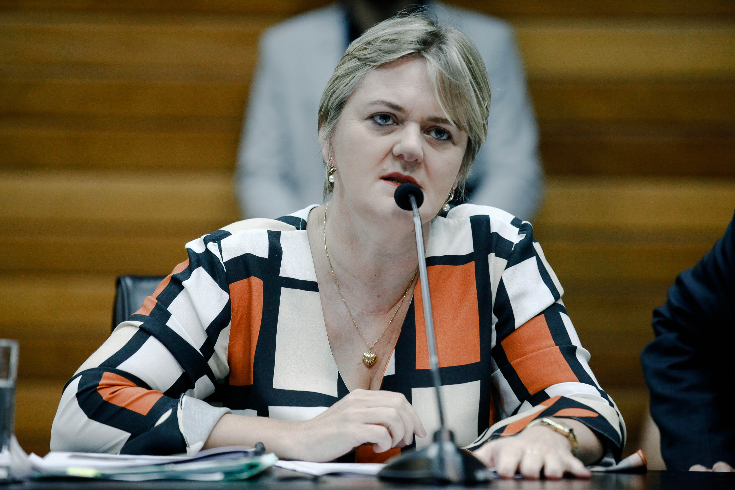 Deputada Luciane Carminatti (PT)