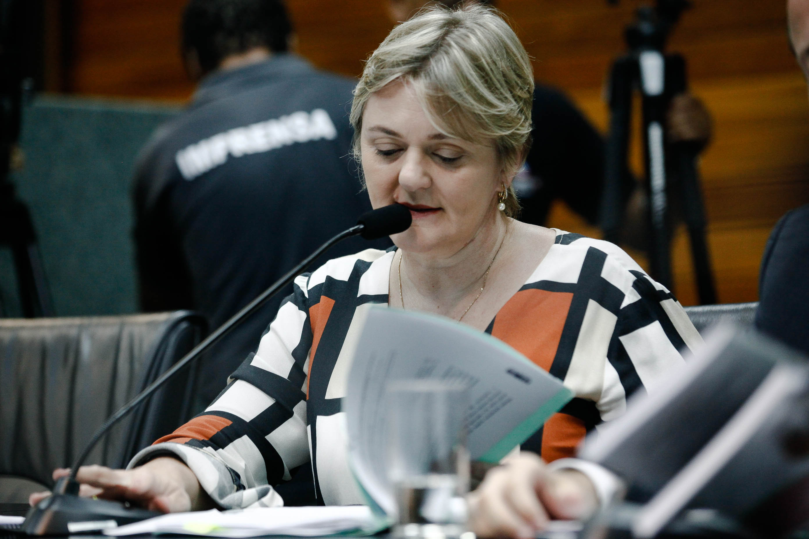 Deputada Luciane Carminatti (PT)