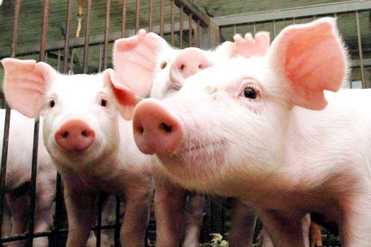 Benefícios fiscais passam a depender de aprovação da Assembleia