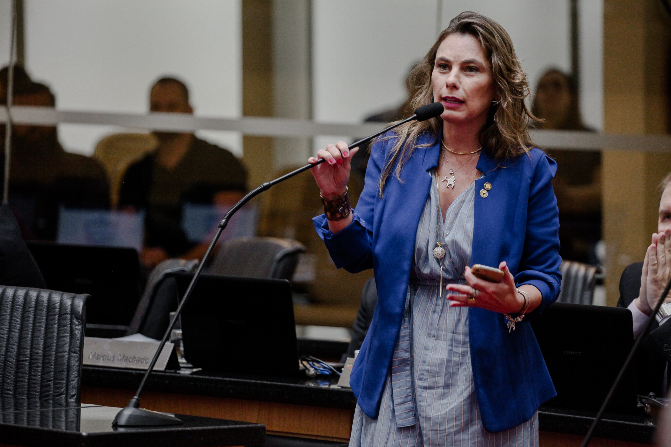 Deputada Paulinha (PDT)