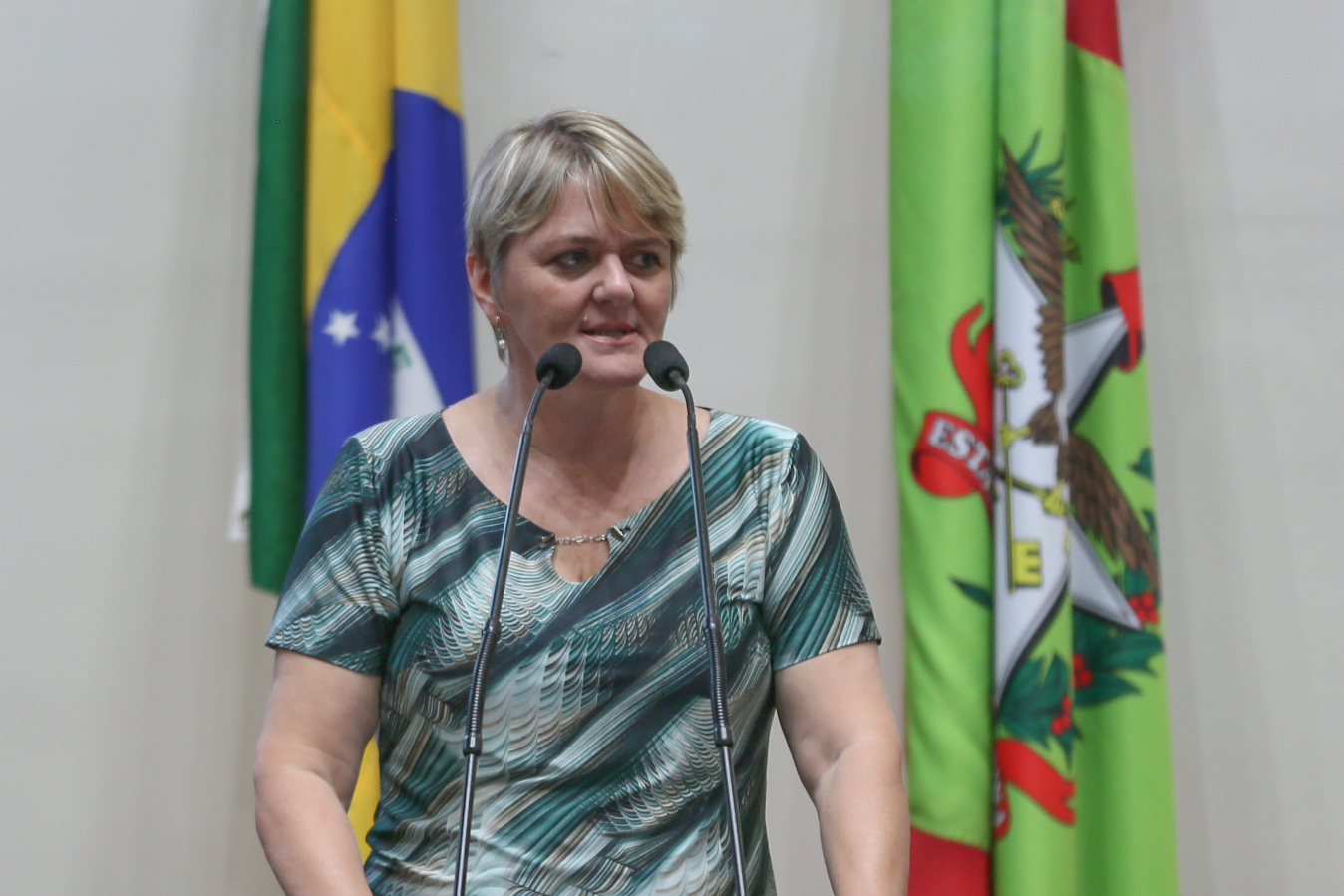 Deputada Luciane Carminatti (PT)