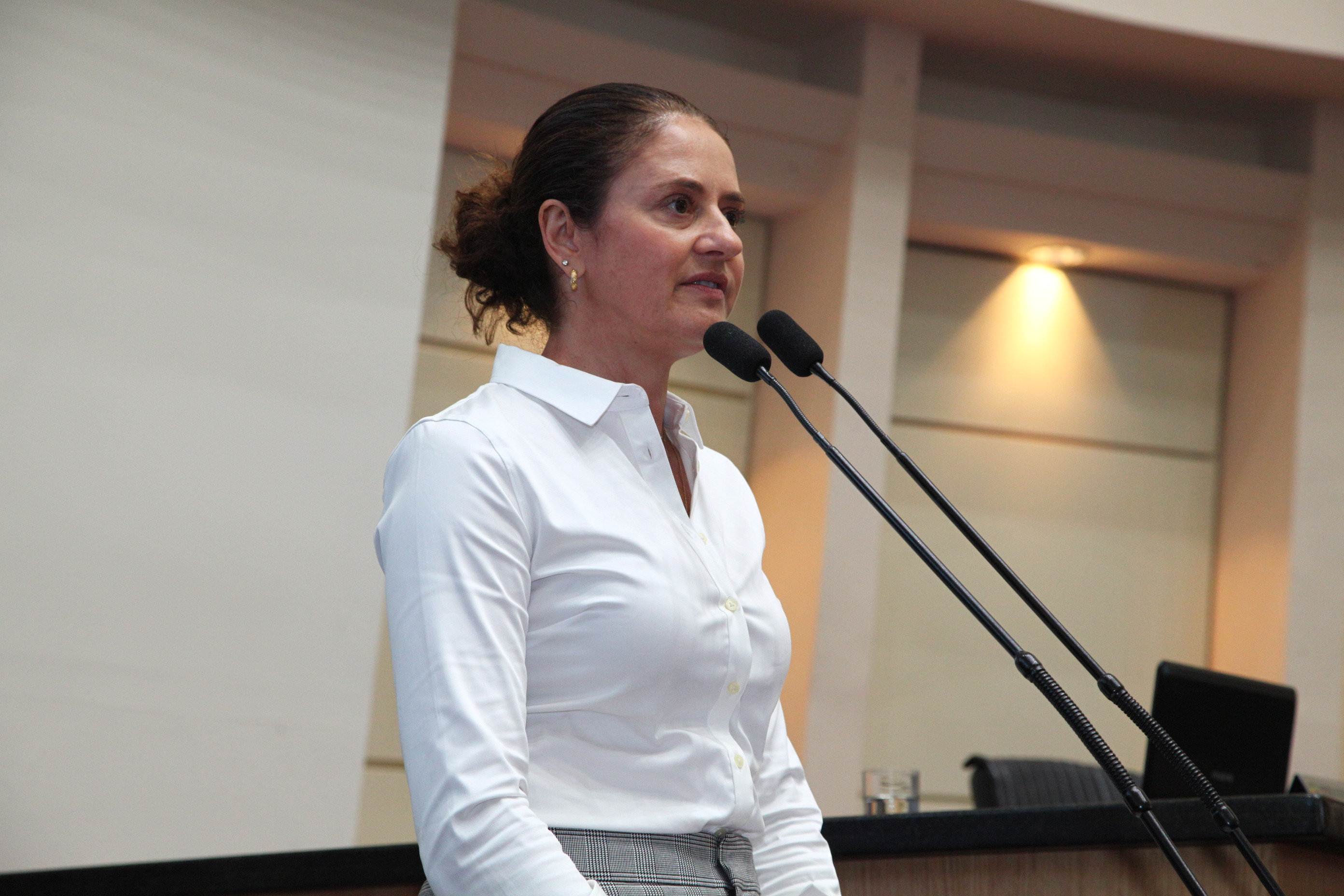 Sessão Plenária em 13/02/2019 - Deputada Marlene Fengler (PSD)