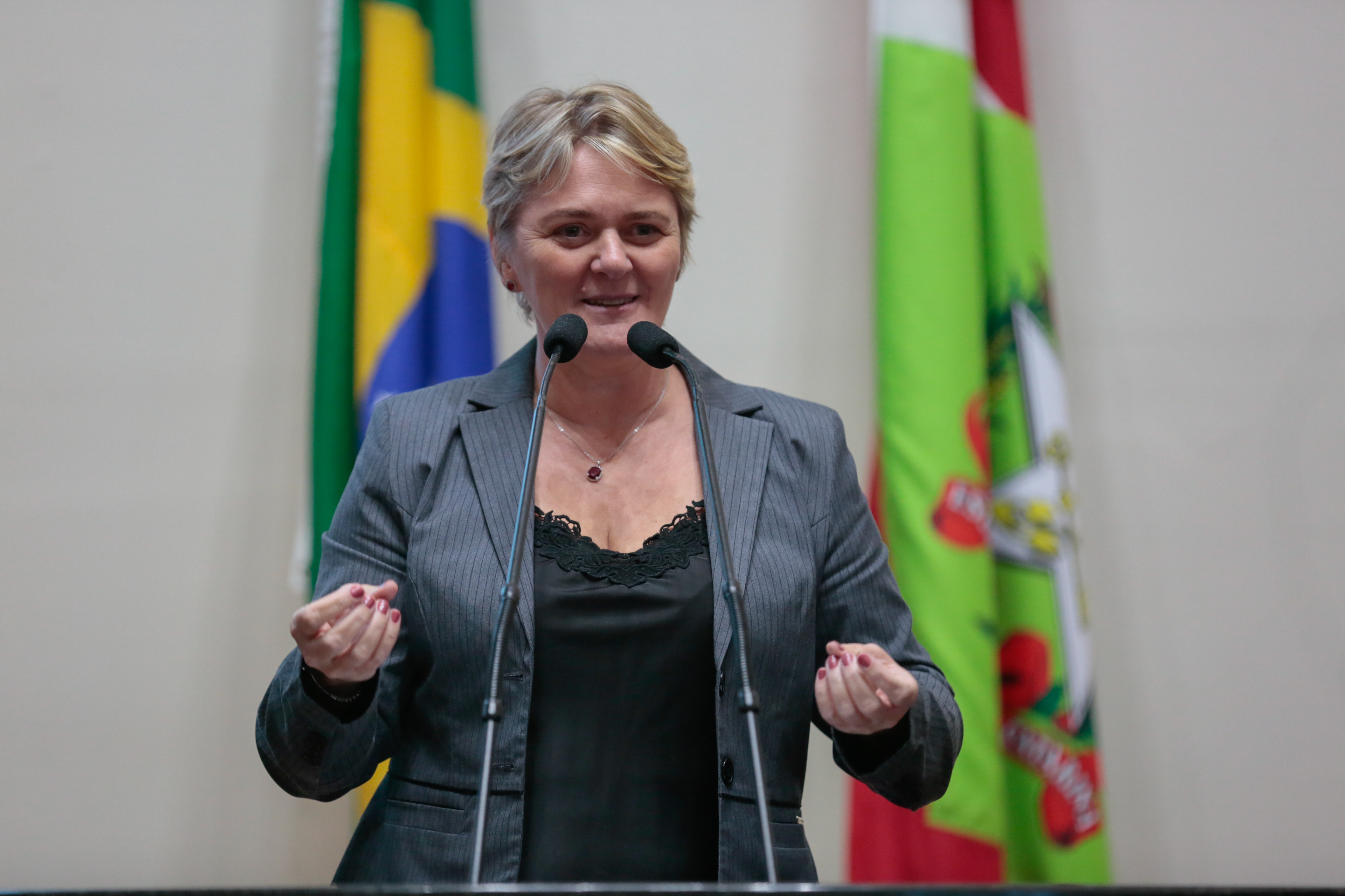 SESSÃO ESPECIAL - Secretário da Fazenda Paulo Eli Responde Convocação da Alesc.