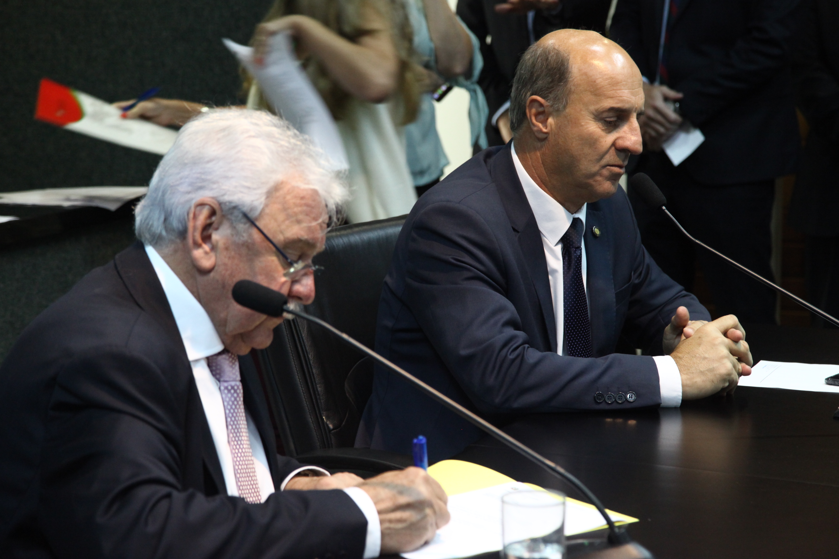 Instalação das Comissões - Comissão de Assuntos Municipais / Comissão Agricultura e Política Rural