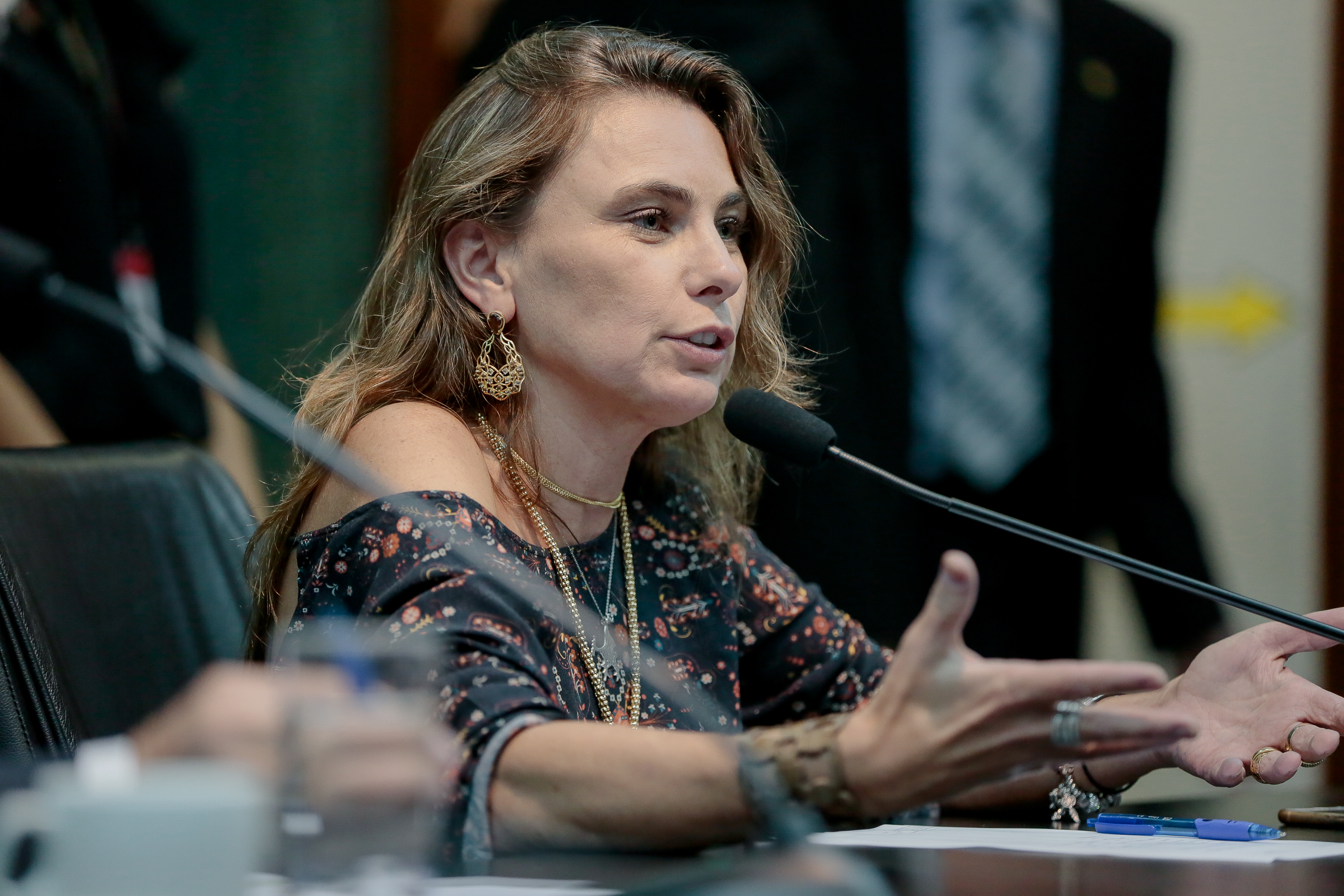 Deputada Ana Paula da Silva (PDT)
