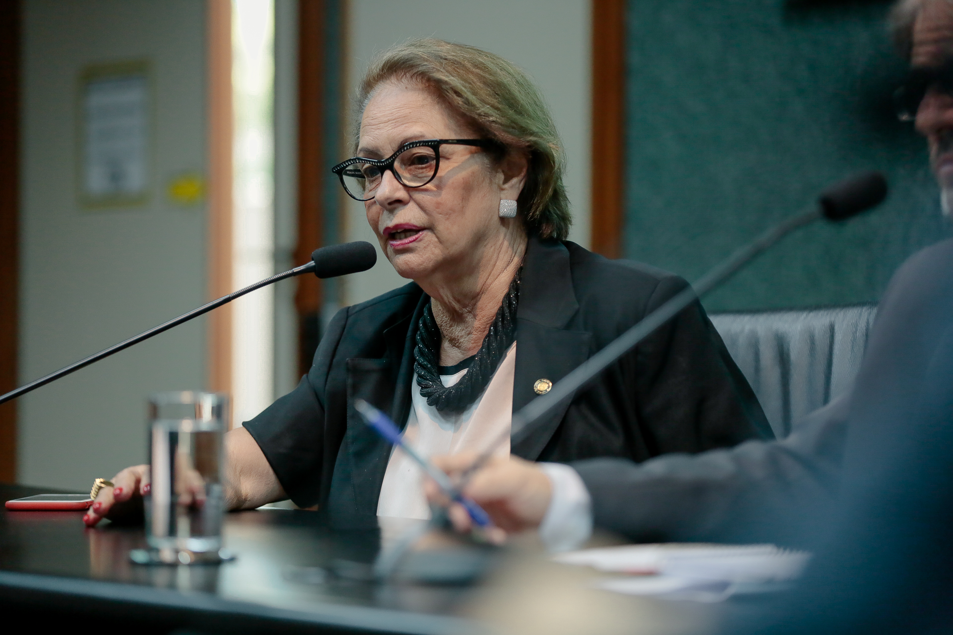 Deputada Ada Faraco de Luca (MDB)