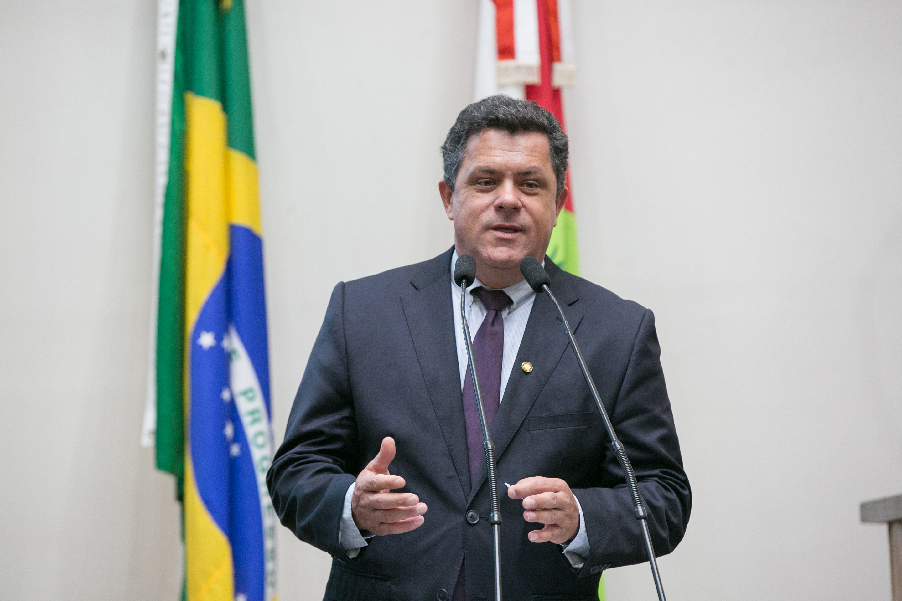 Deputado Ivan Naatz (PV)