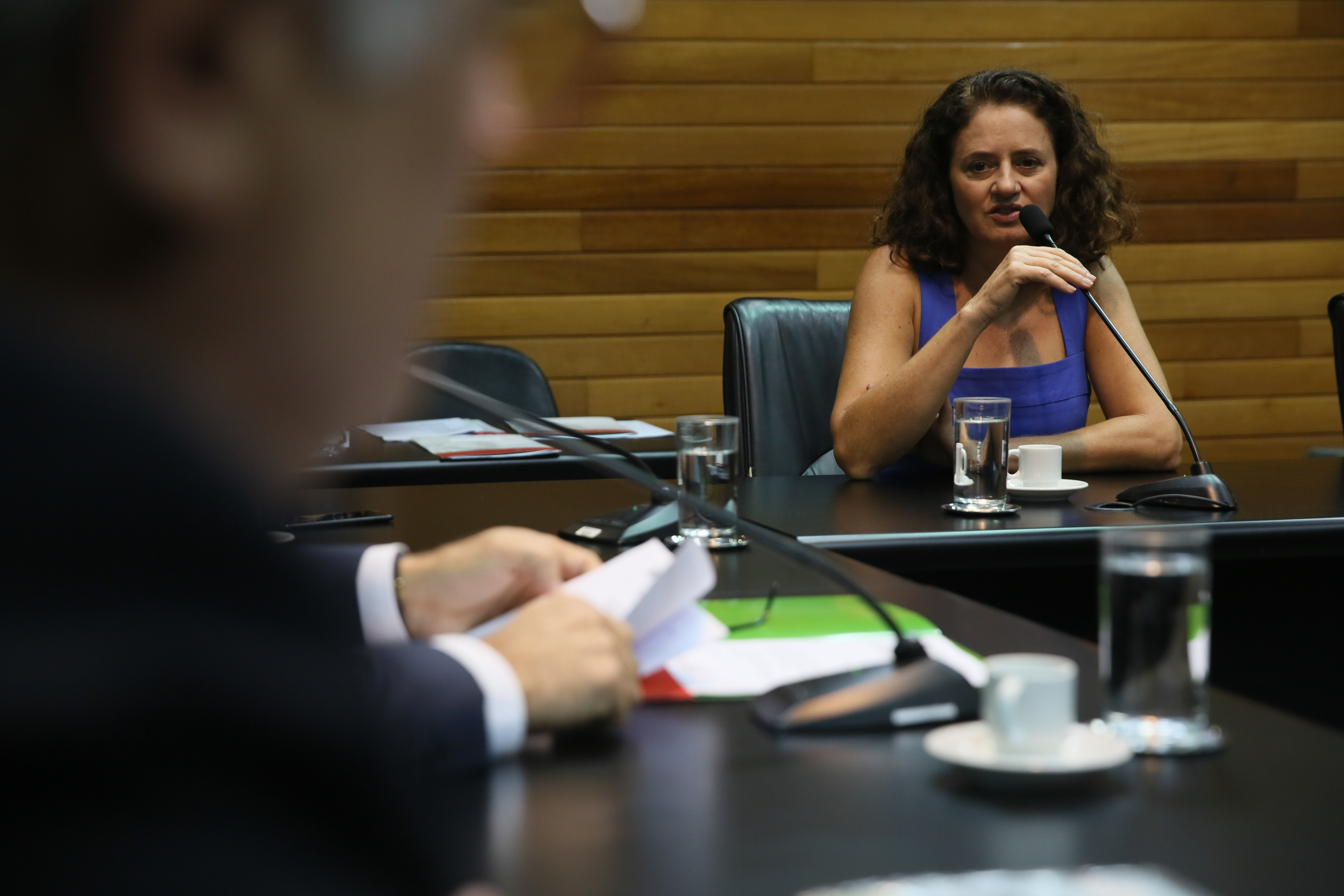 Comissão de Defesa dos Direitos da Pessoa com Deficiência é instalada. Deputados Vicente Caropreso (PSDB) e José Milton (PP) são eleitos presidente e vice da comissão.