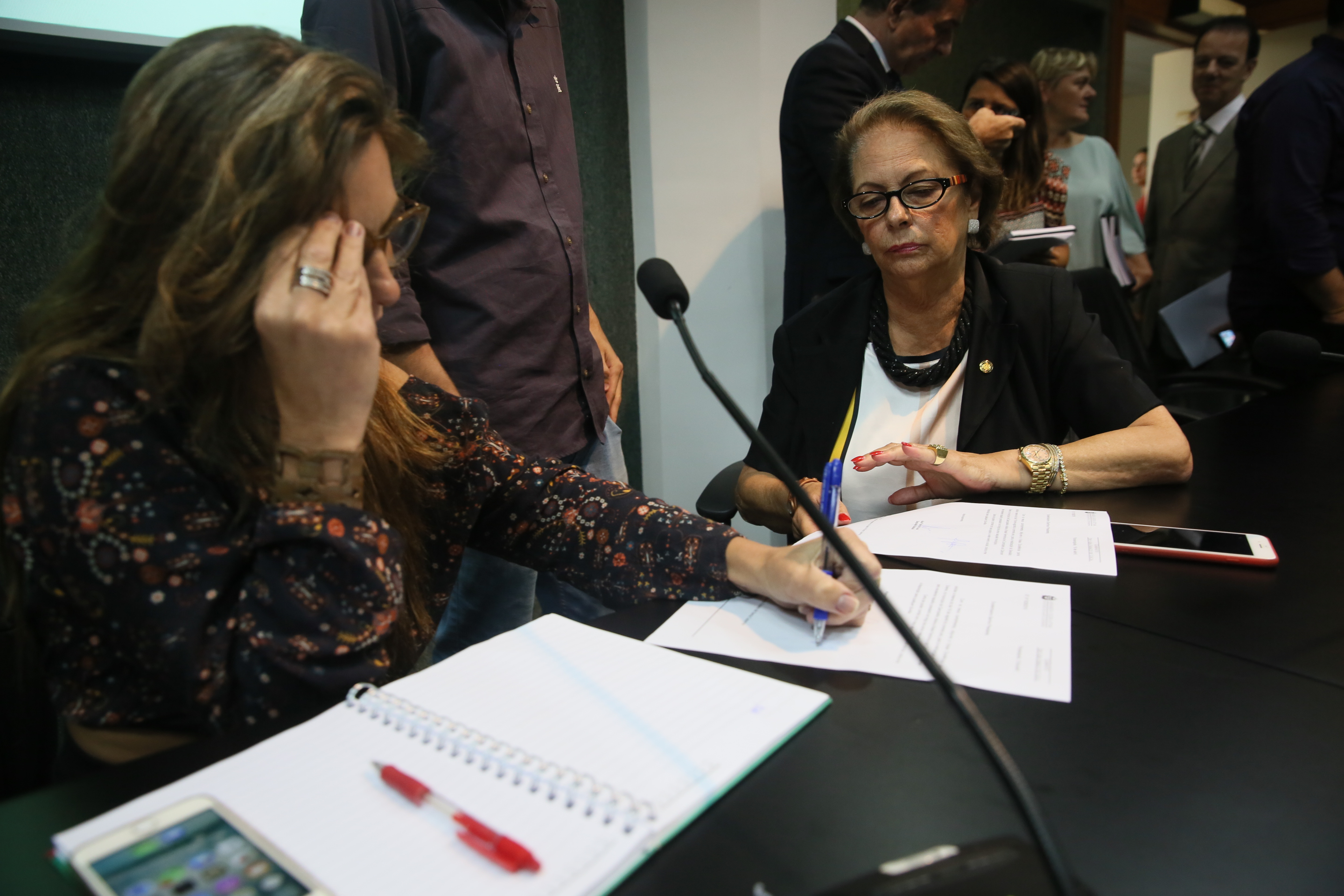 INSTALAÇÃO DAS COMISSÕES - Comissão de Segurança Pública é Instalada