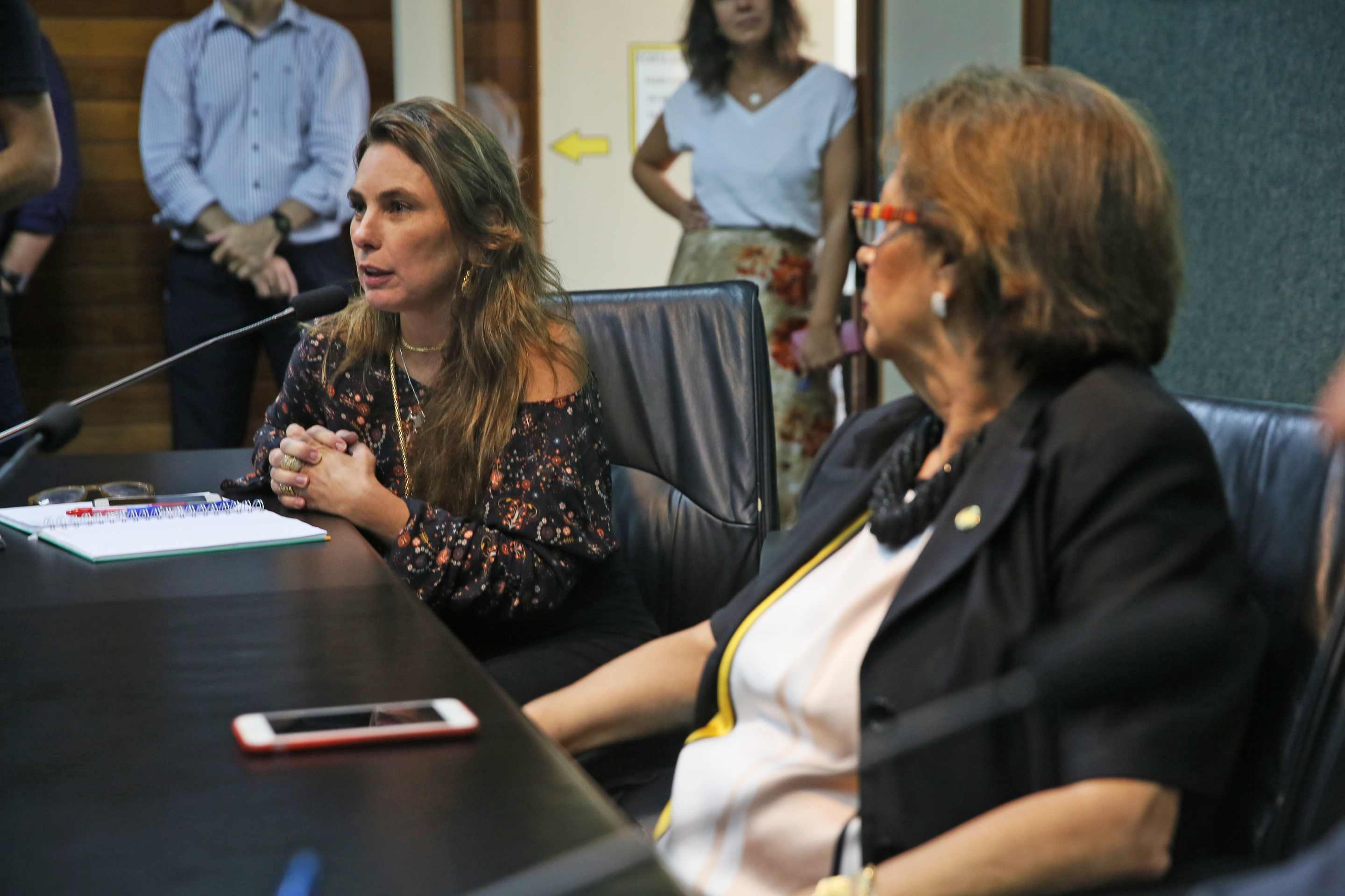 INSTALAÇÃO DAS COMISSÕES - Comissão de Segurança Pública é Instalada