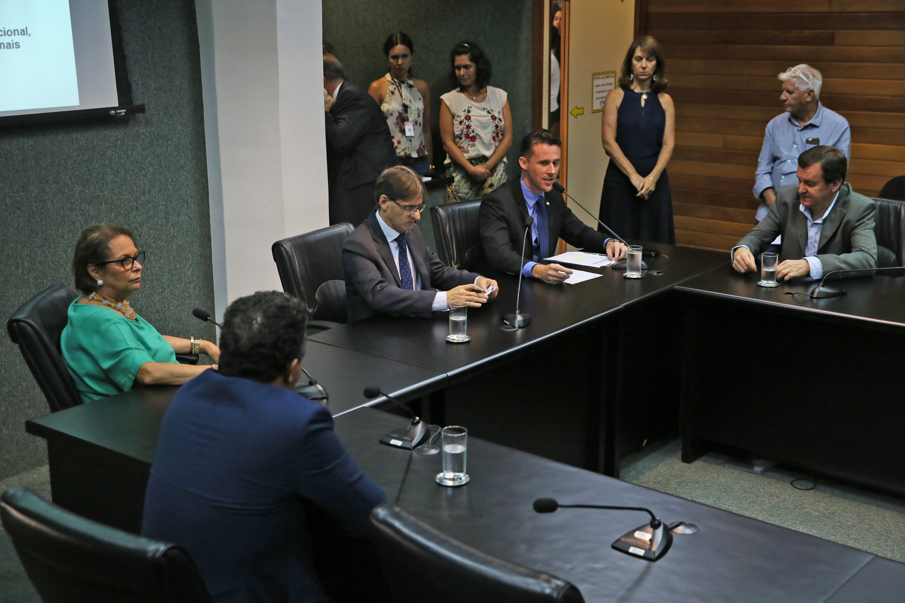 INSTALAÇÃO DAS COMISSÕES - Comissão do Mercosul é Instalada.