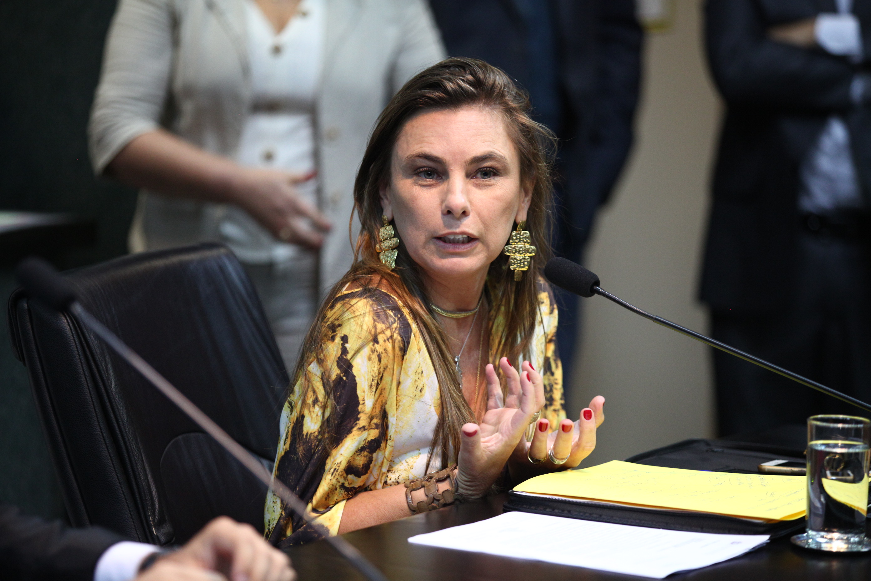 INSTALAÇÃO DAS COMISSÕES - Comissão de Pesca é Instalada. Deputada Ana Paula da Silva (PDT)