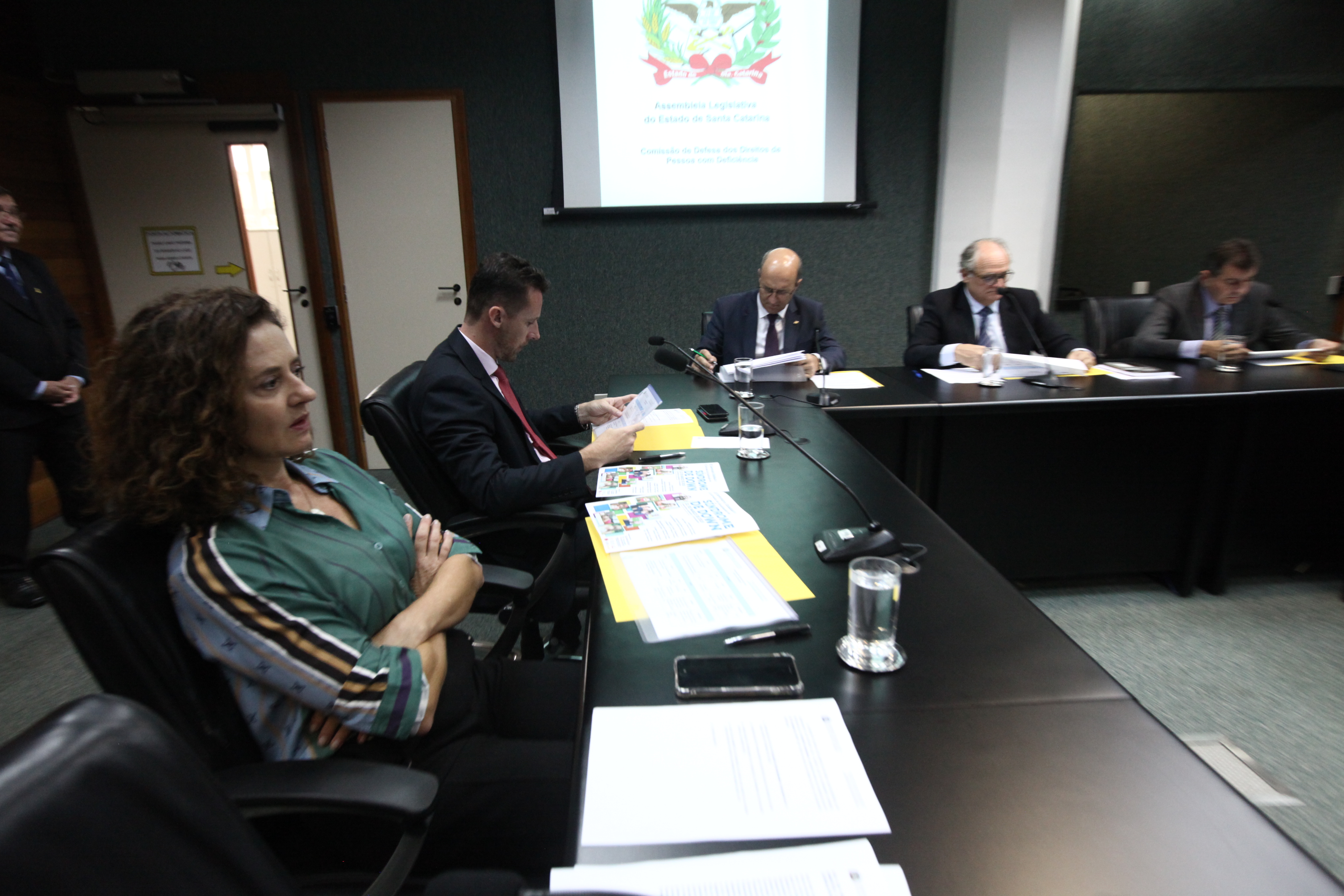 REUNIÃO - Comissão de Defesa dos Direitos da Pessoa Com Deficiência.
