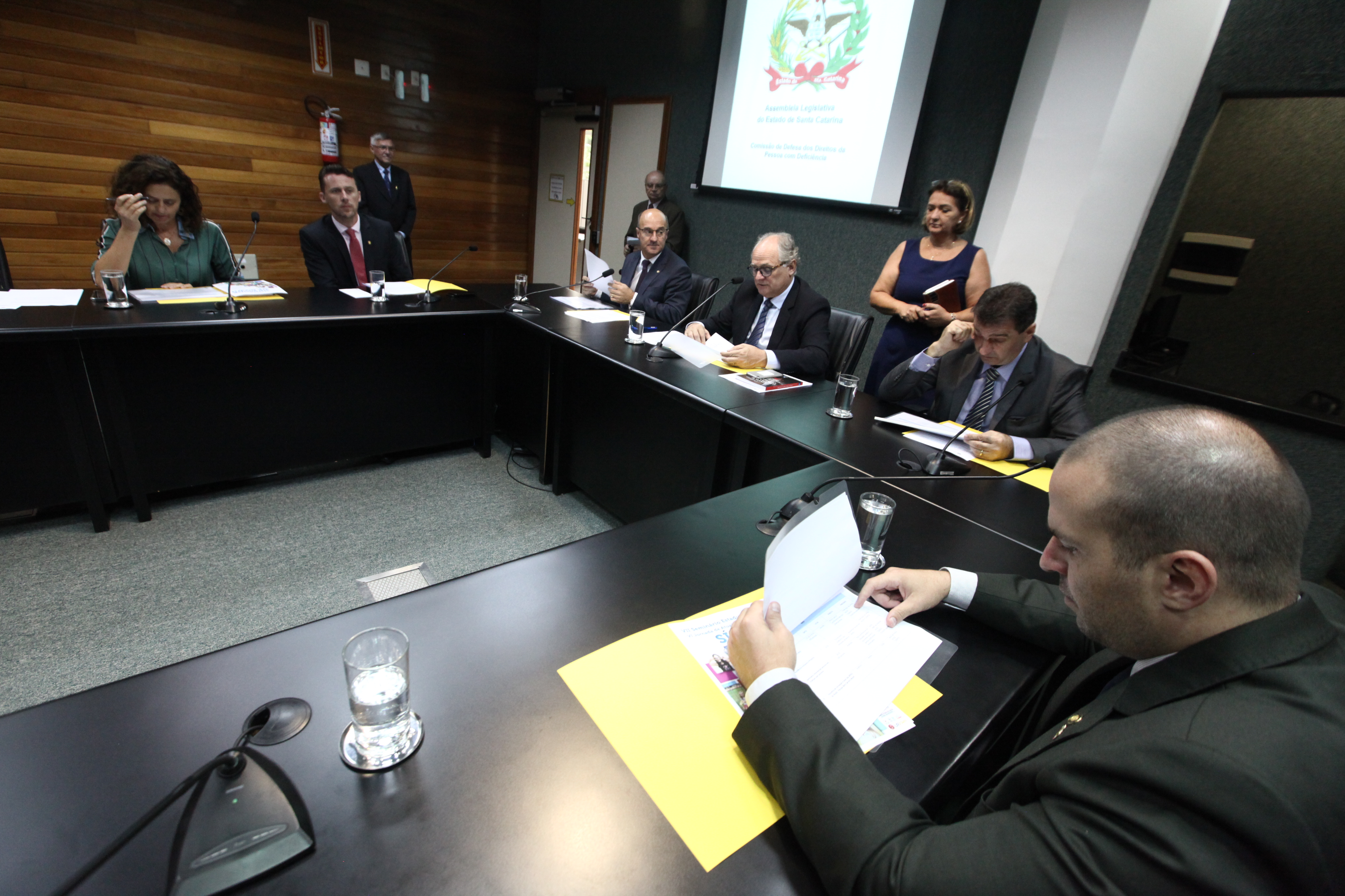 REUNIÃO - Comissão de Defesa dos Direitos da Pessoa Com Deficiência.