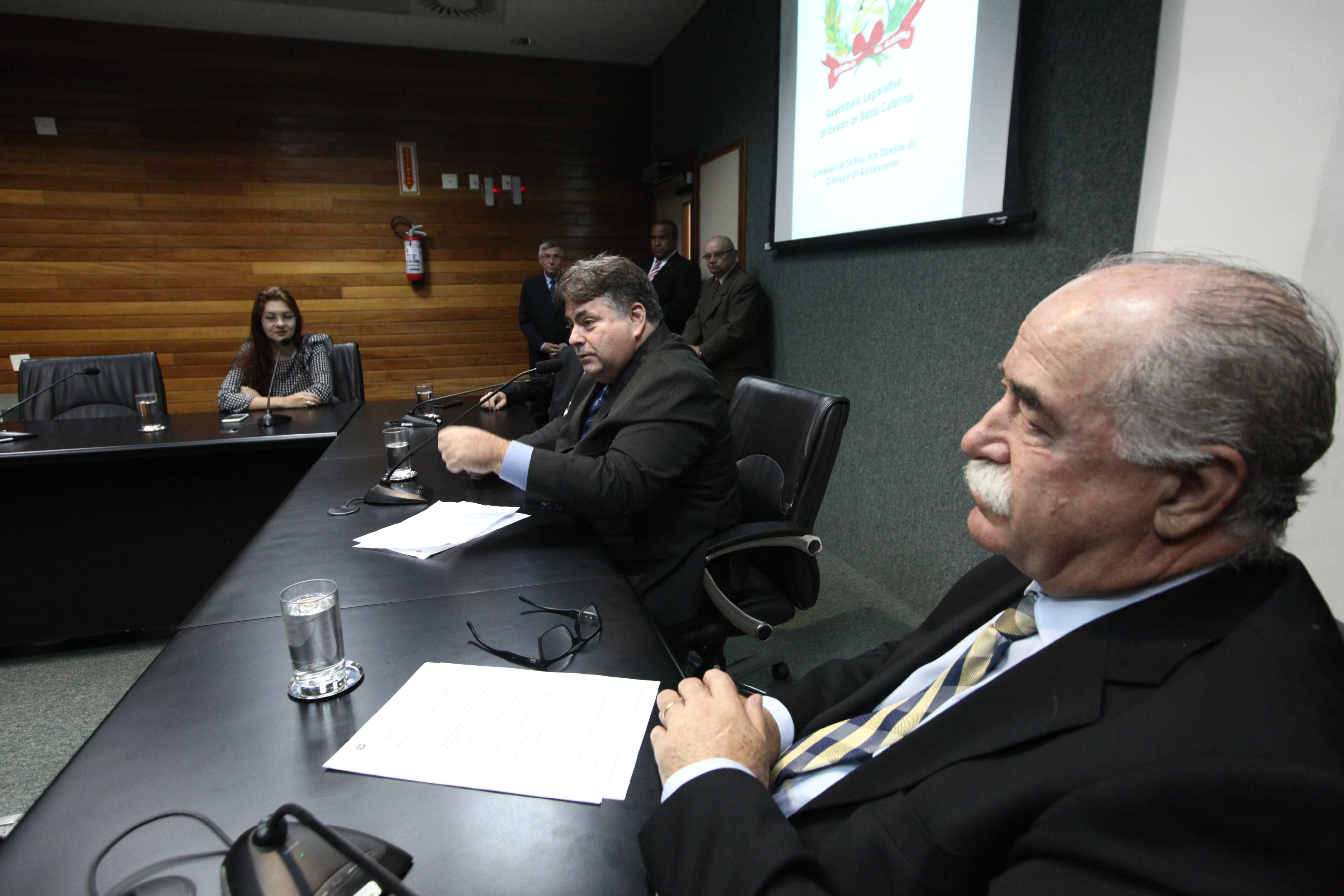INSTALAÇÃO DAS COMISSÕES - Comissão de Defesa dos Direitos da Criança e do Adolescente.