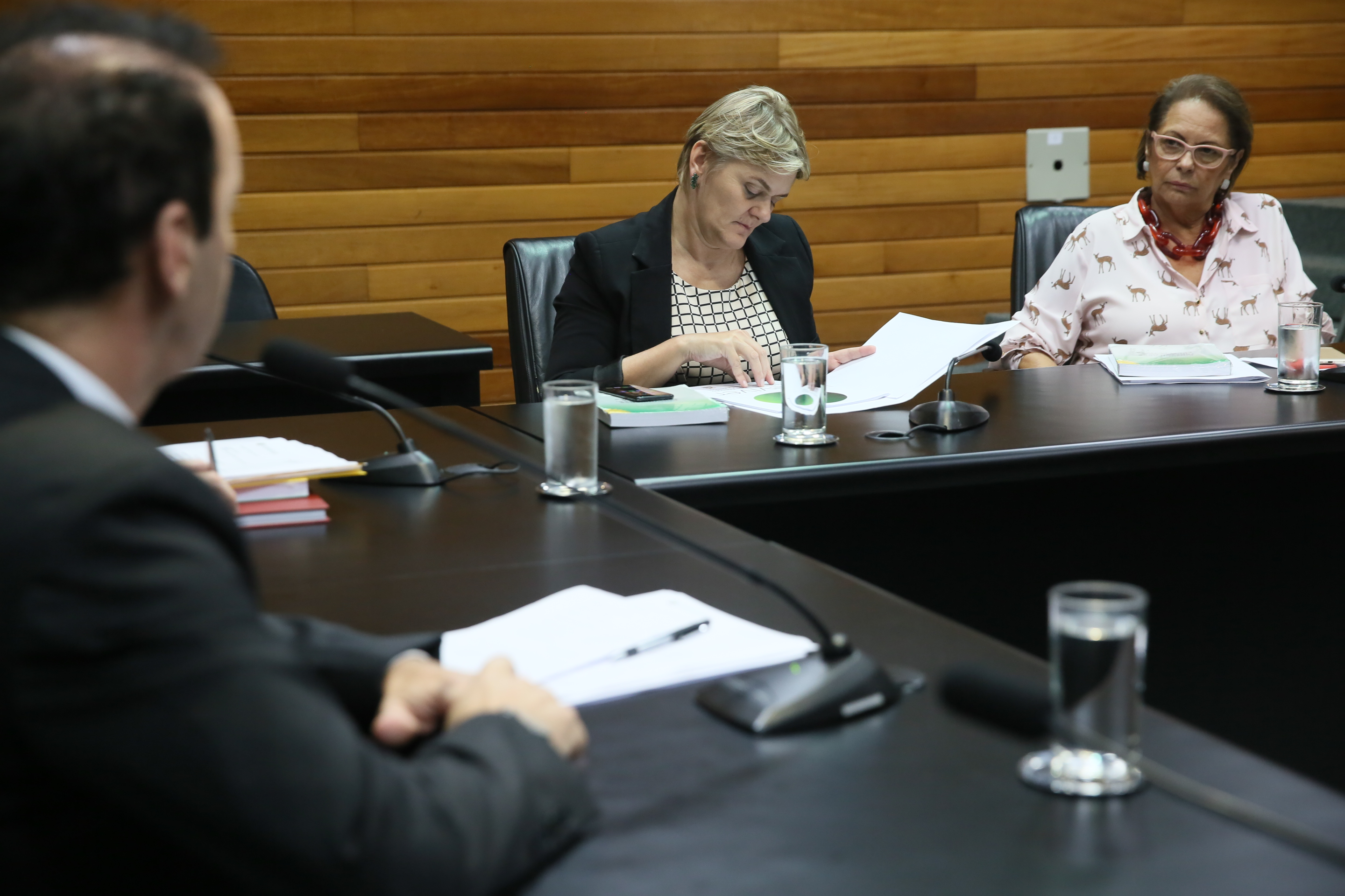 REUNIÃO - Comissão de Prevenção e Combate às Drogas.