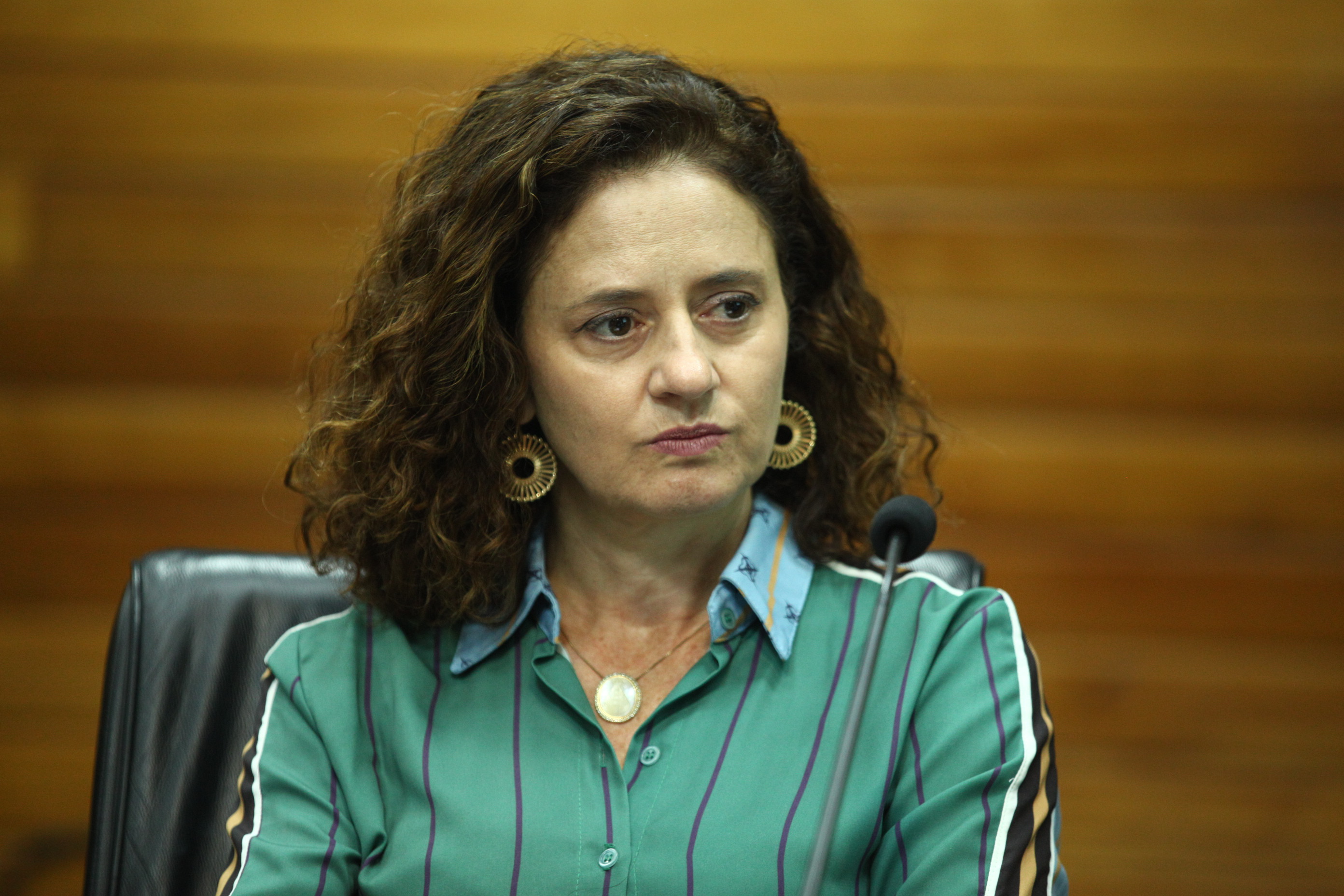 INSTALAÇÃO DAS COMISSÕES - Comissão de Defesa dos Direitos do Idoso. Deputada Marlene Fengler (PSD)