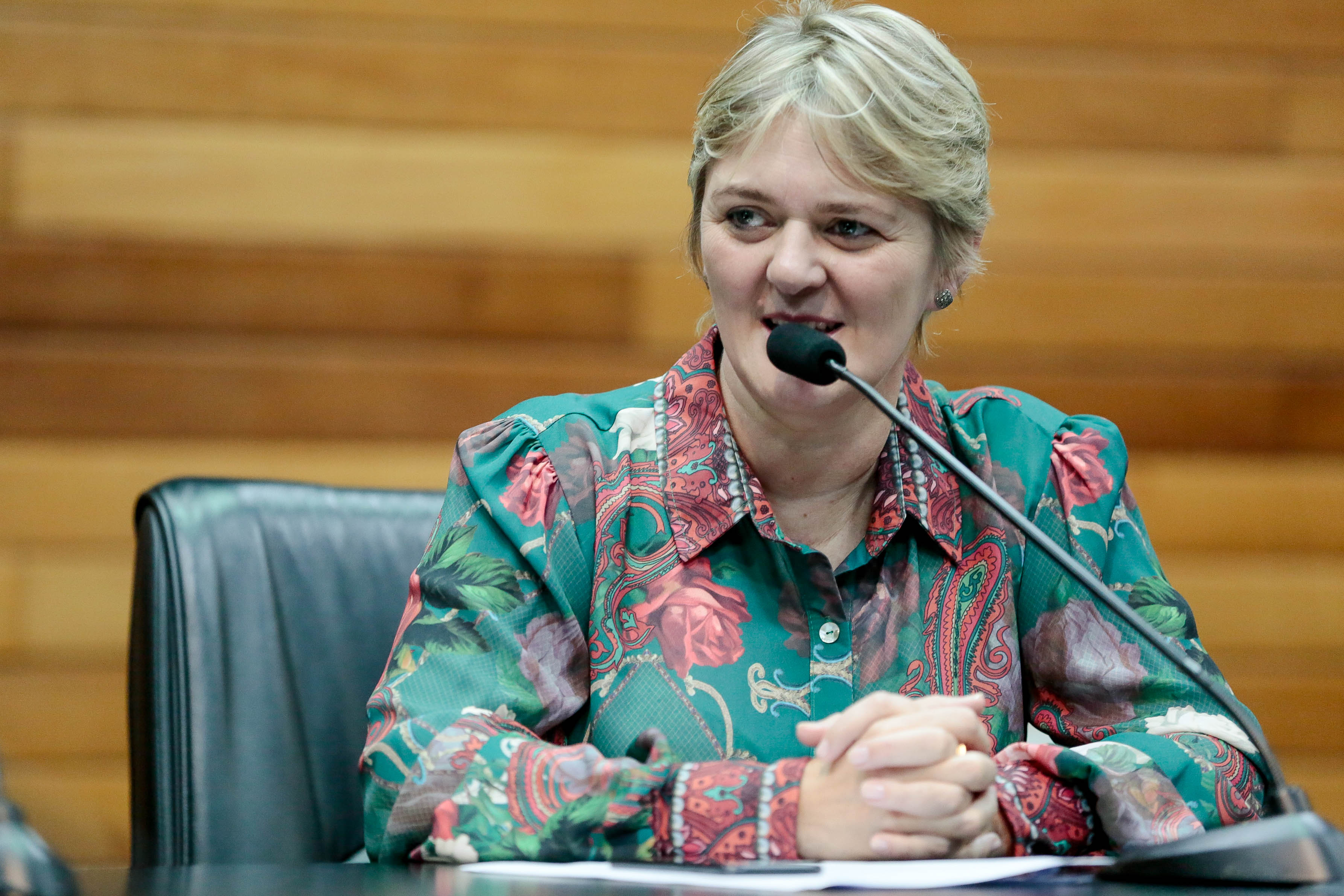 Deputada Luciane Carminatti (PT)