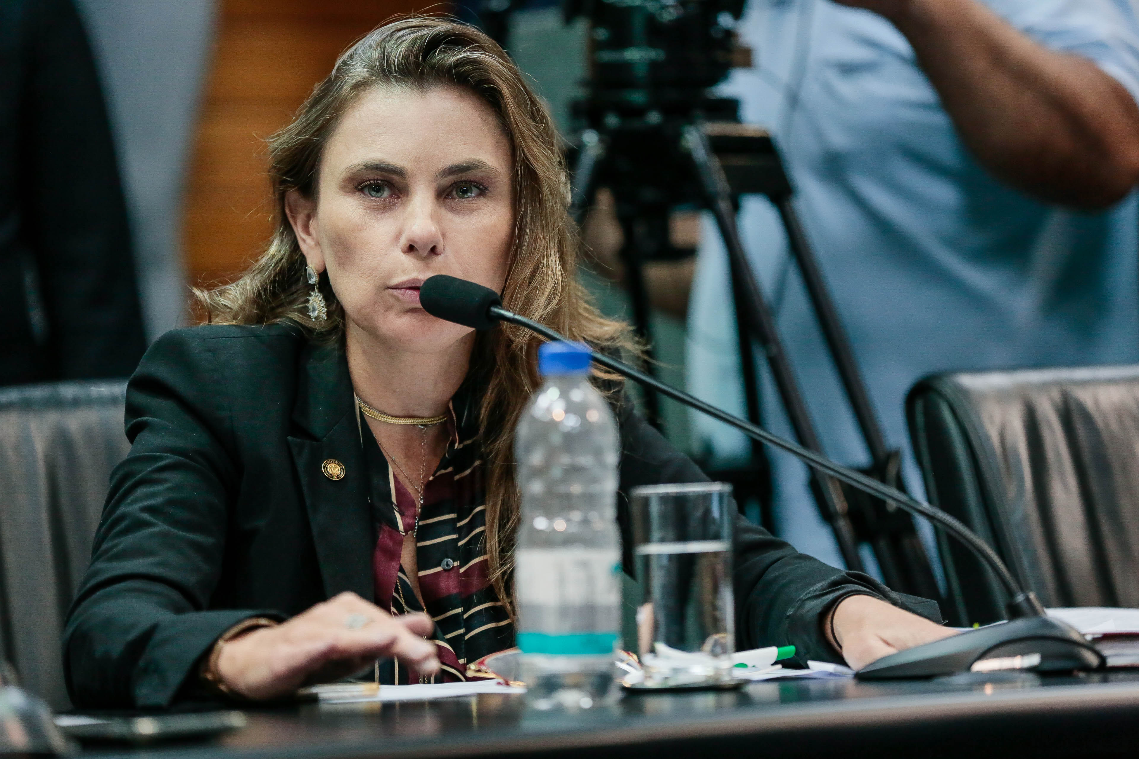Deputada Ana Paula da Silva (PDT)