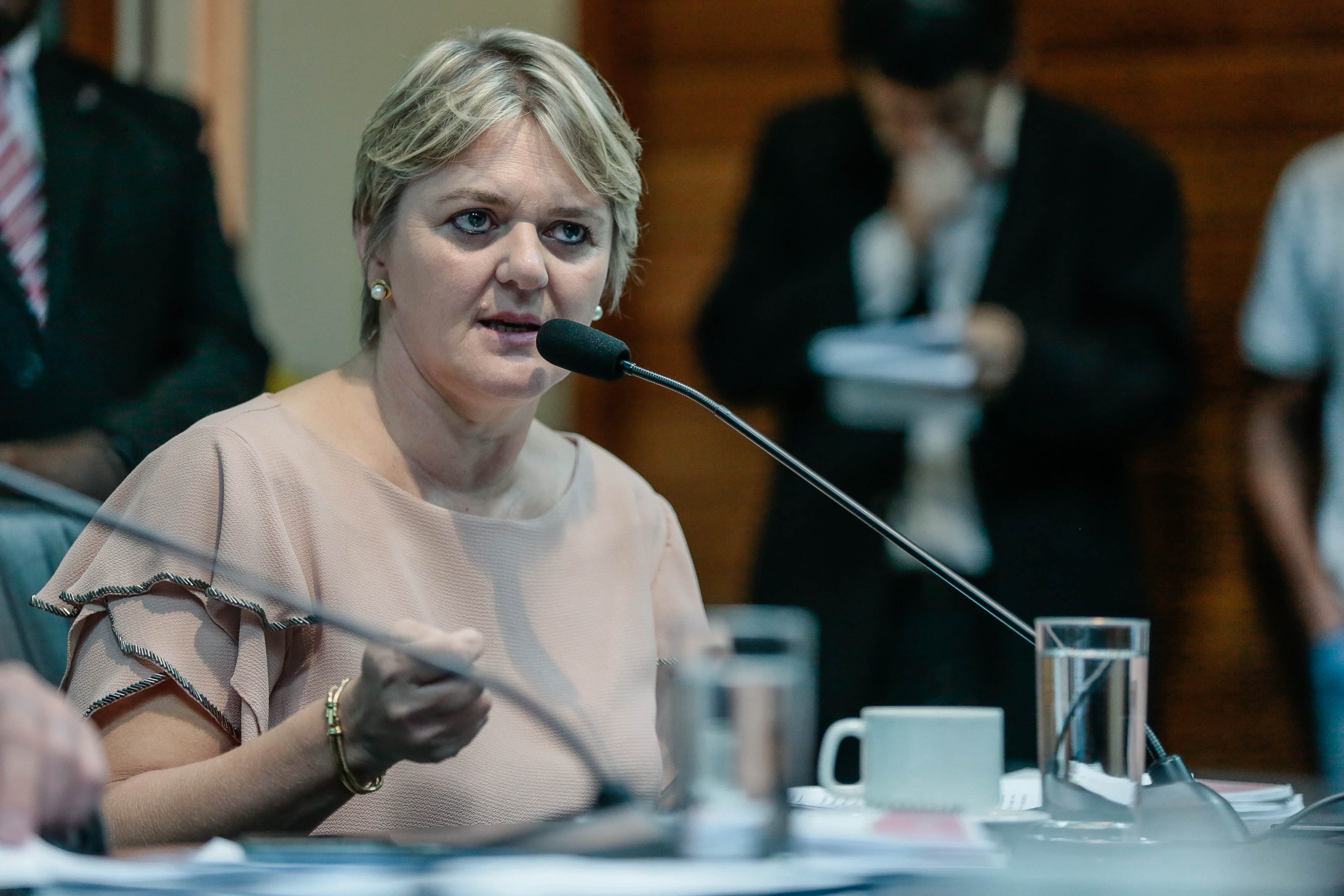 Deputada Luciane Carminatti (PT)