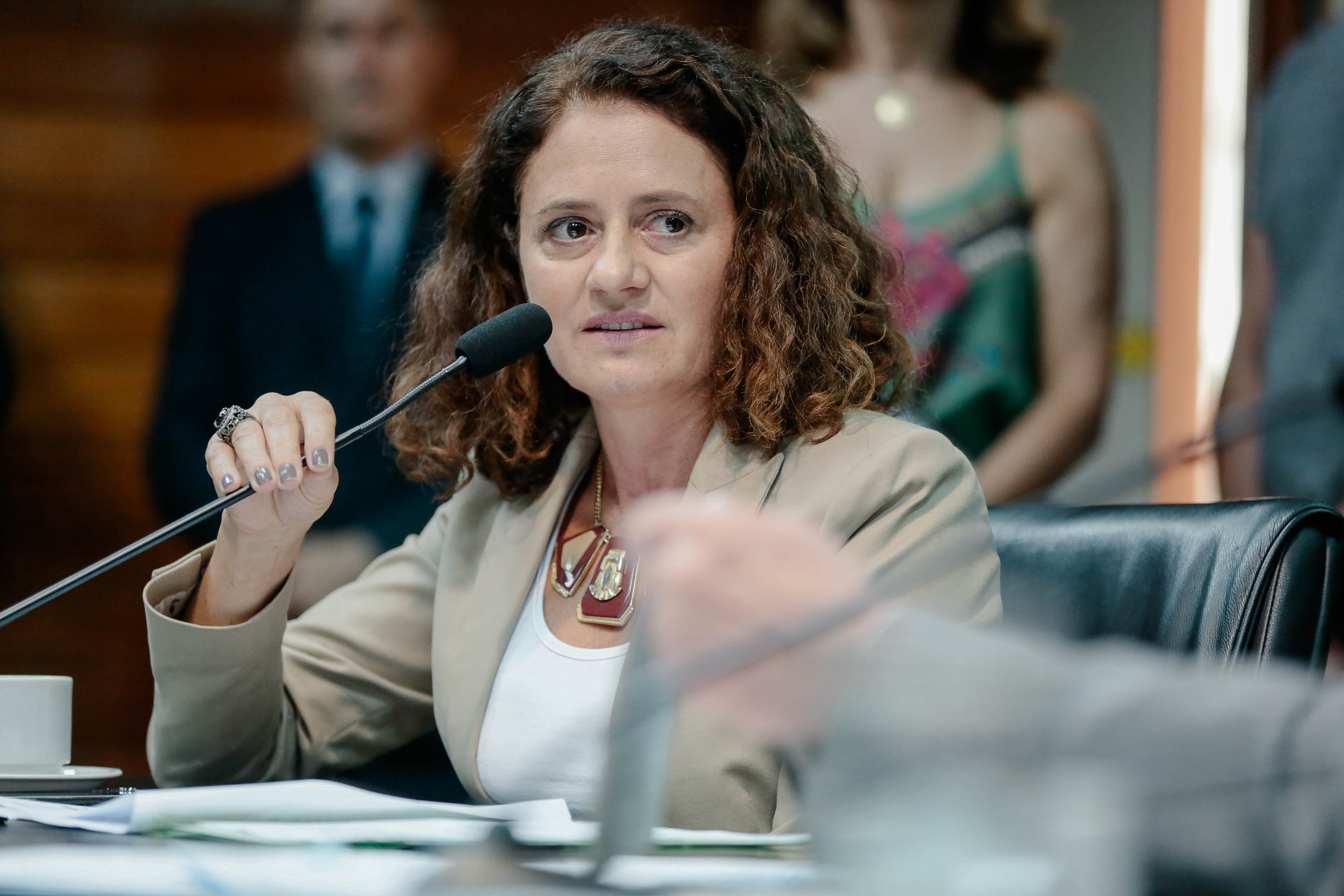 Deputada Marlene Fengler (PSD)