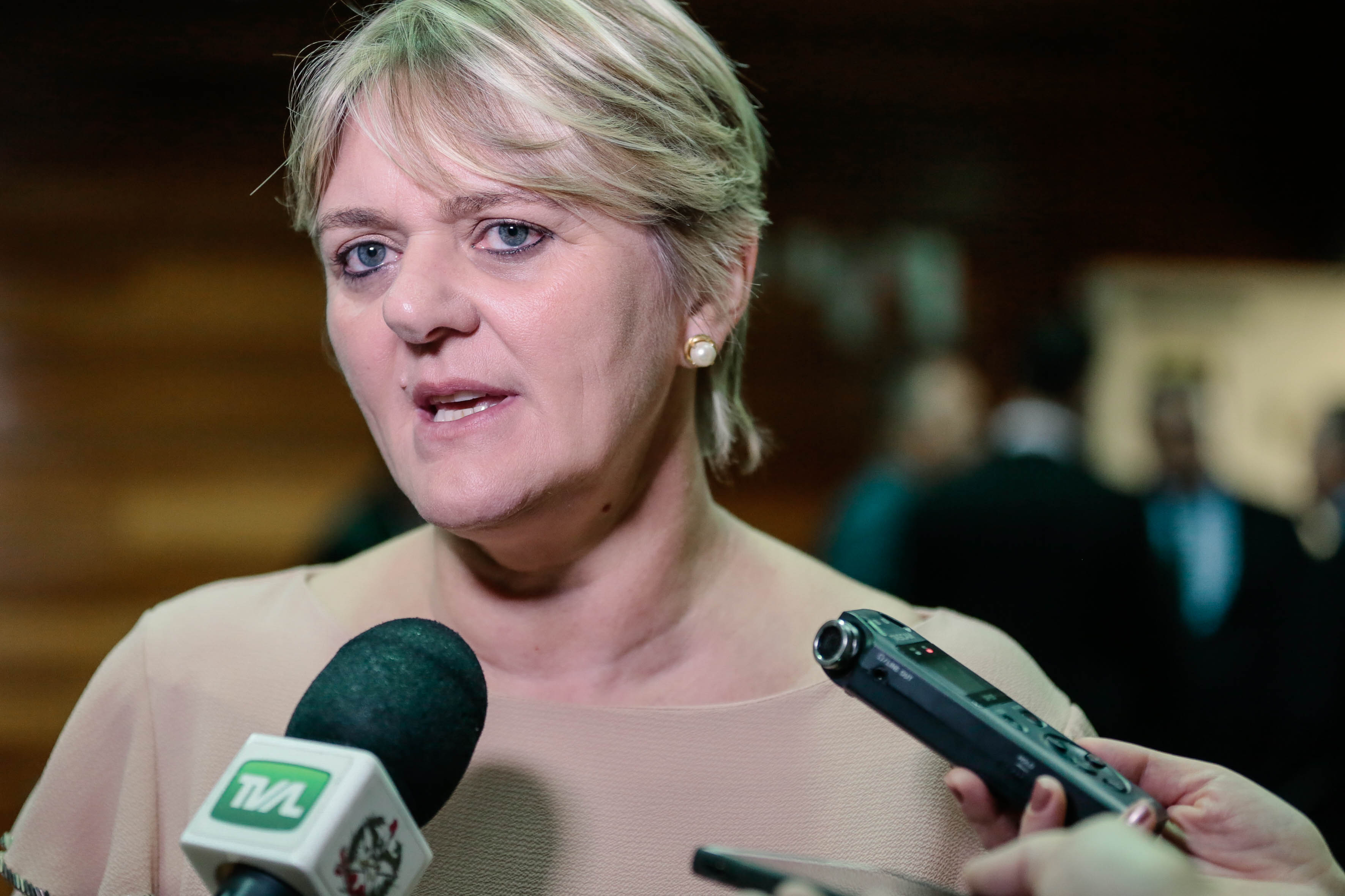 Deputada Luciane Carminatti (PT)