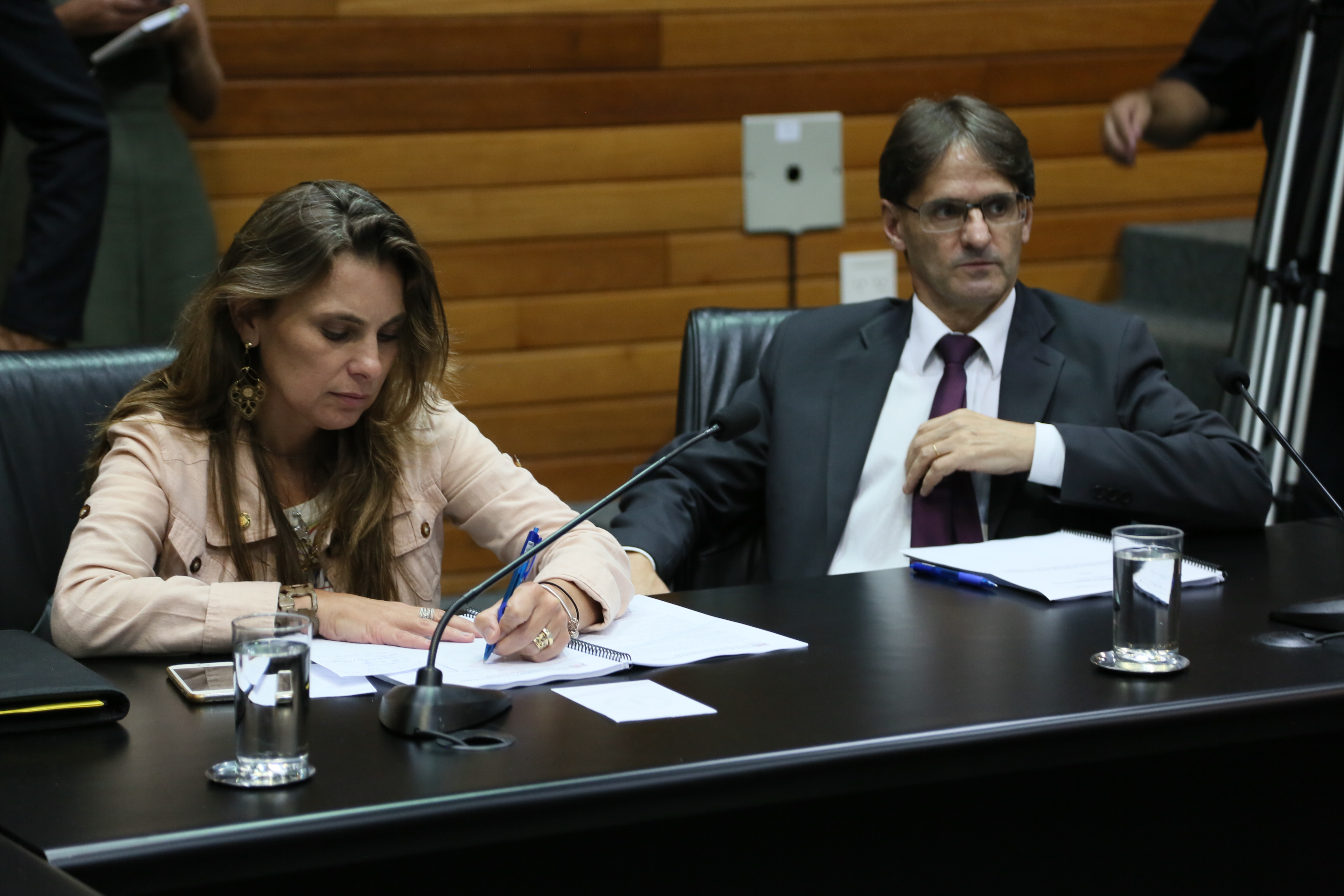 Comissão de Assuntos Municipais.