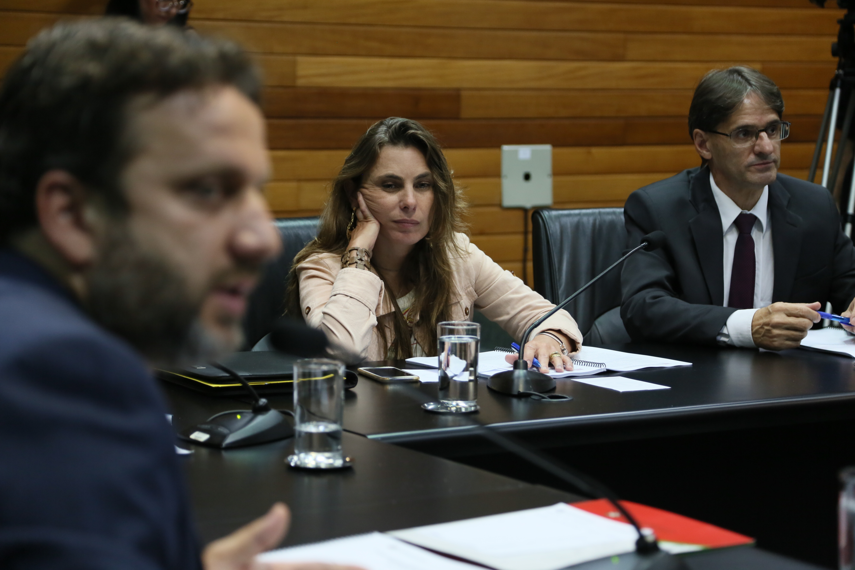 Comissão de Assuntos Municipais.