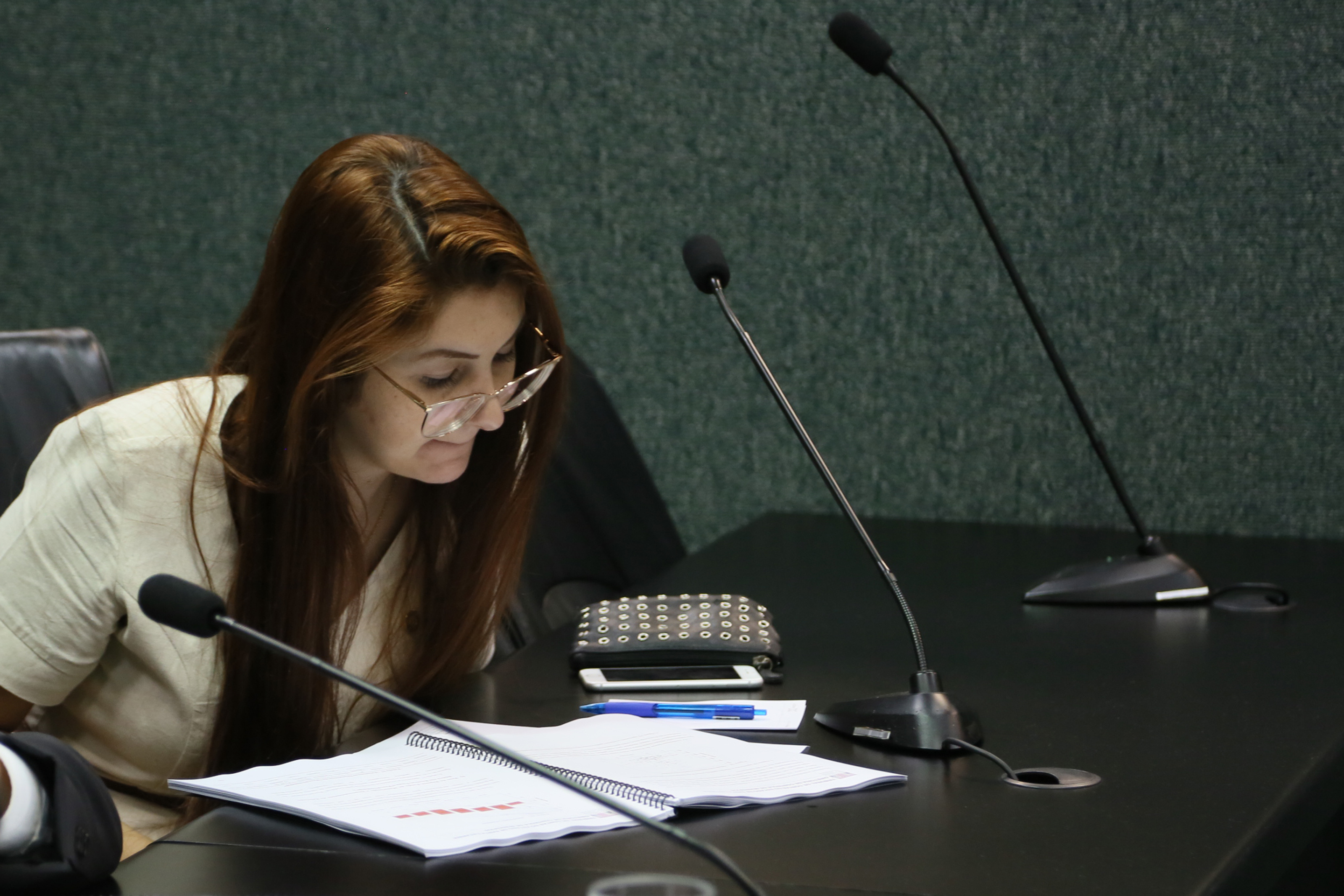 Comissão de Assuntos Municipais.