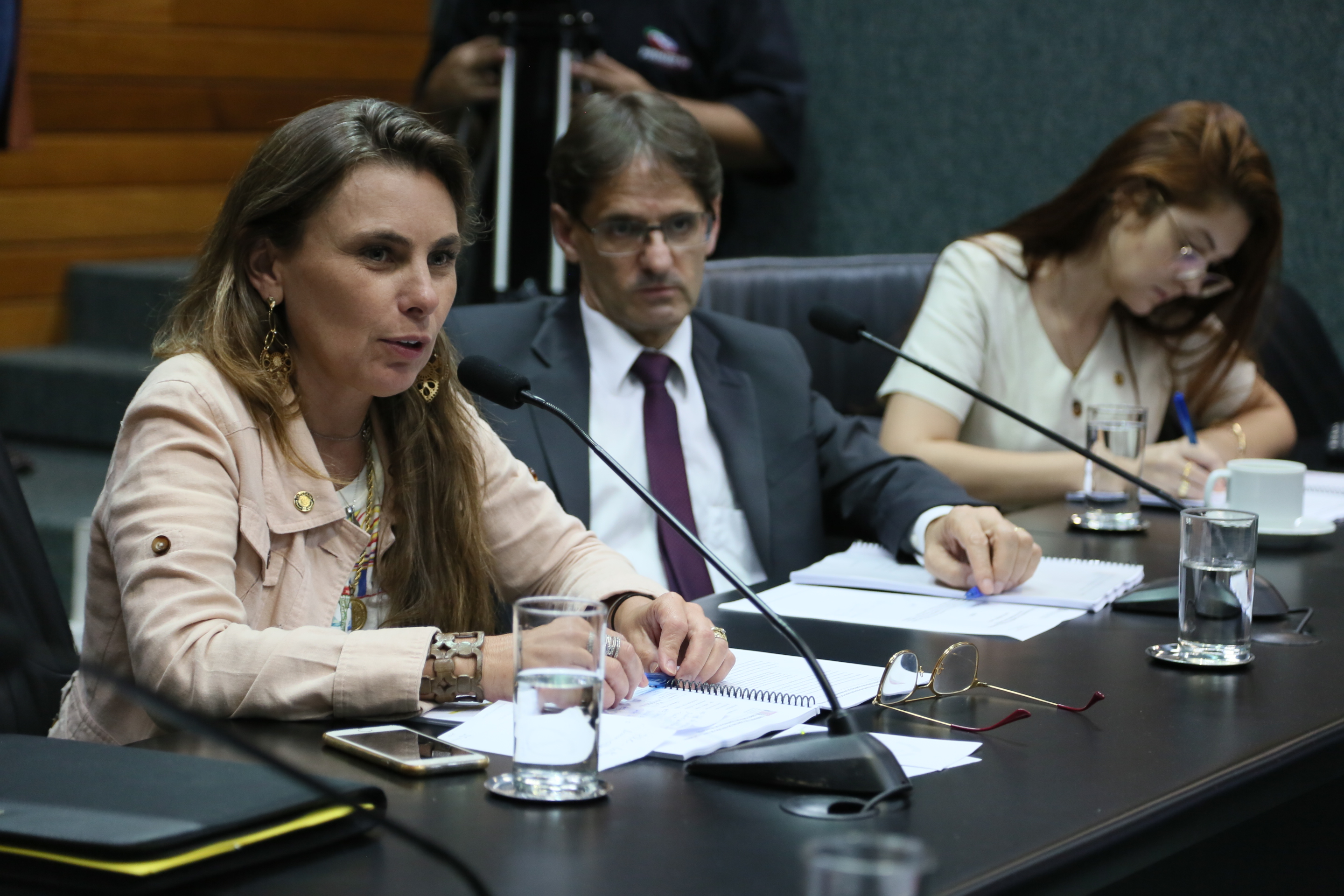 Comissão de Assuntos Municipais.