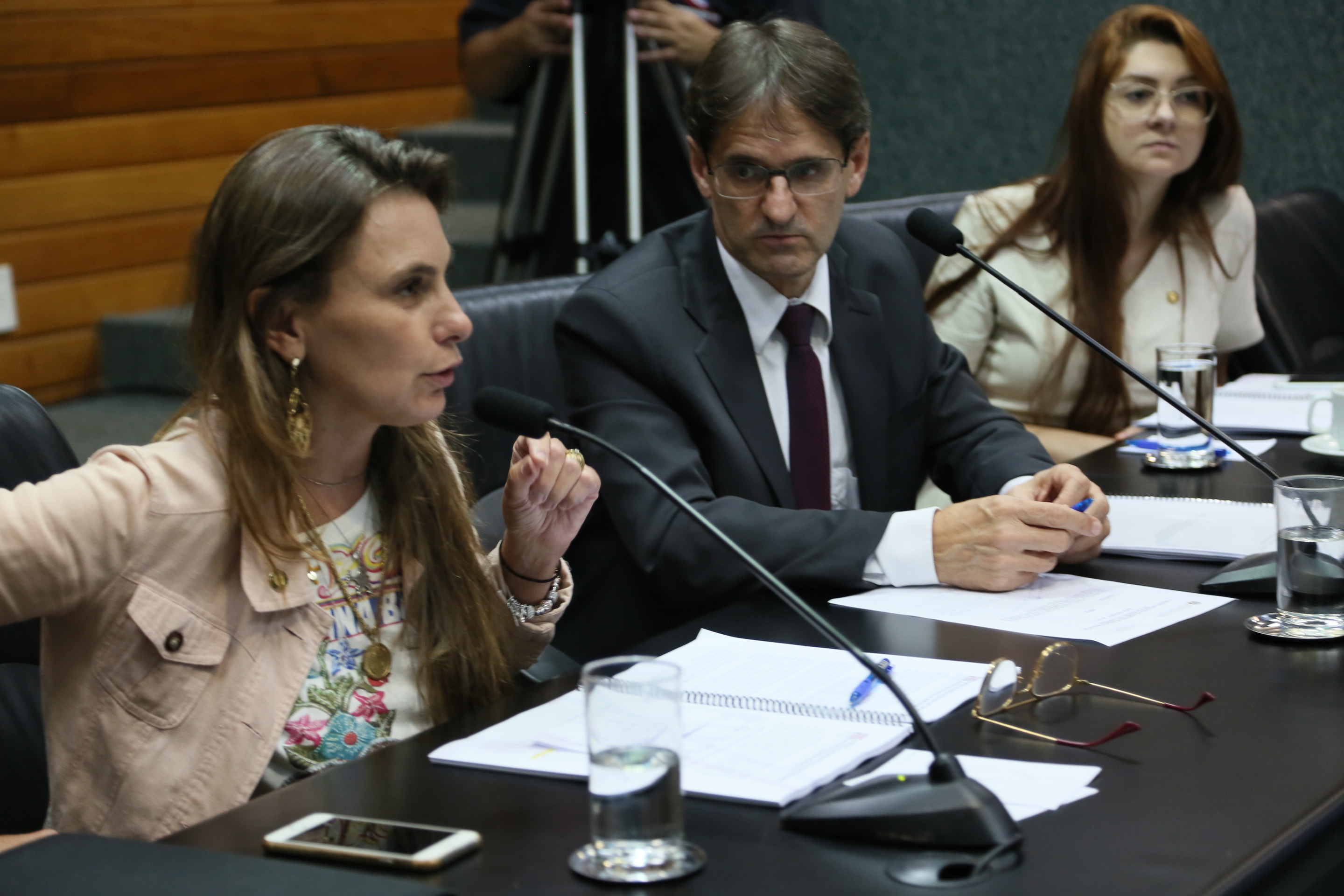 Comissão de Assuntos Municipais.