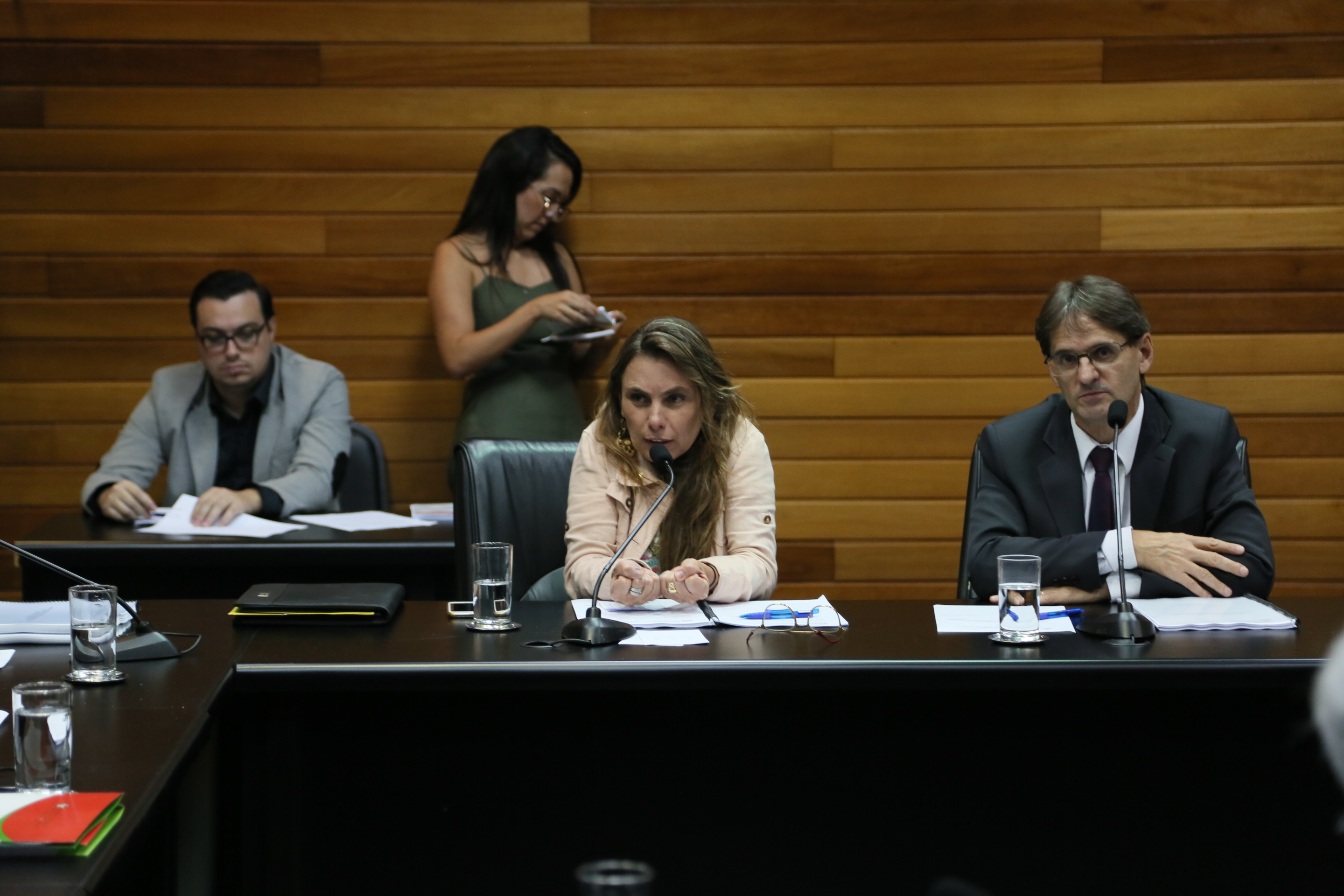 Comissão de Assuntos Municipais.