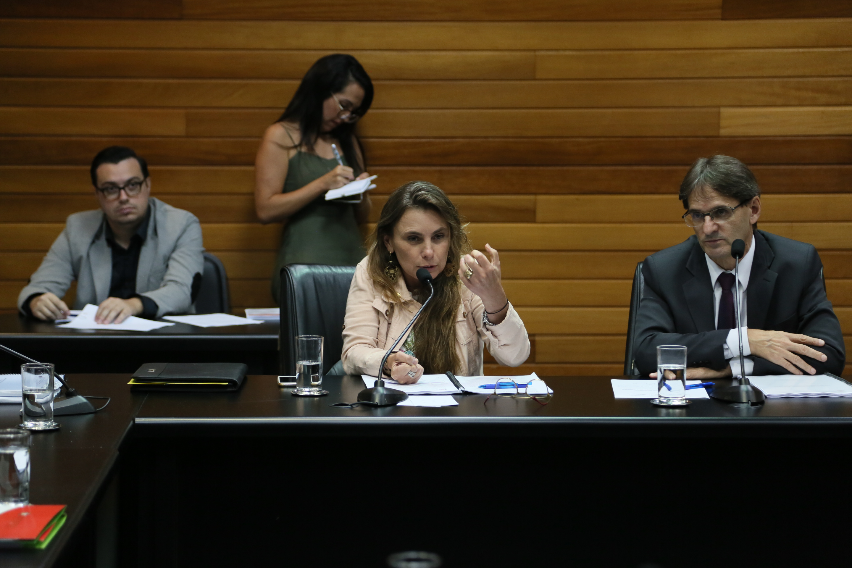 Comissão de Assuntos Municipais.
