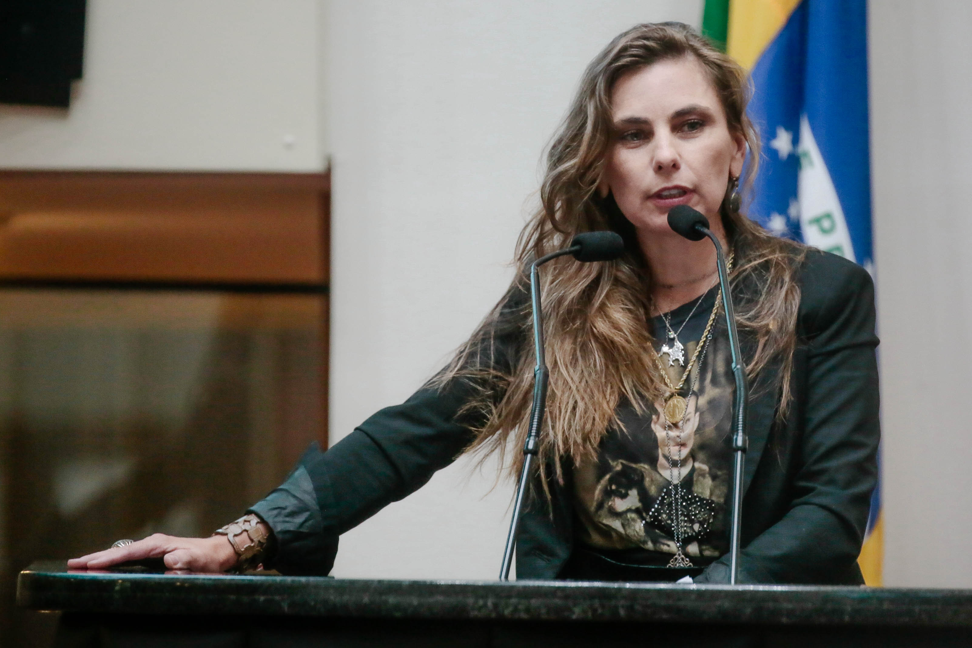 Deputada Paulinha (PDT)