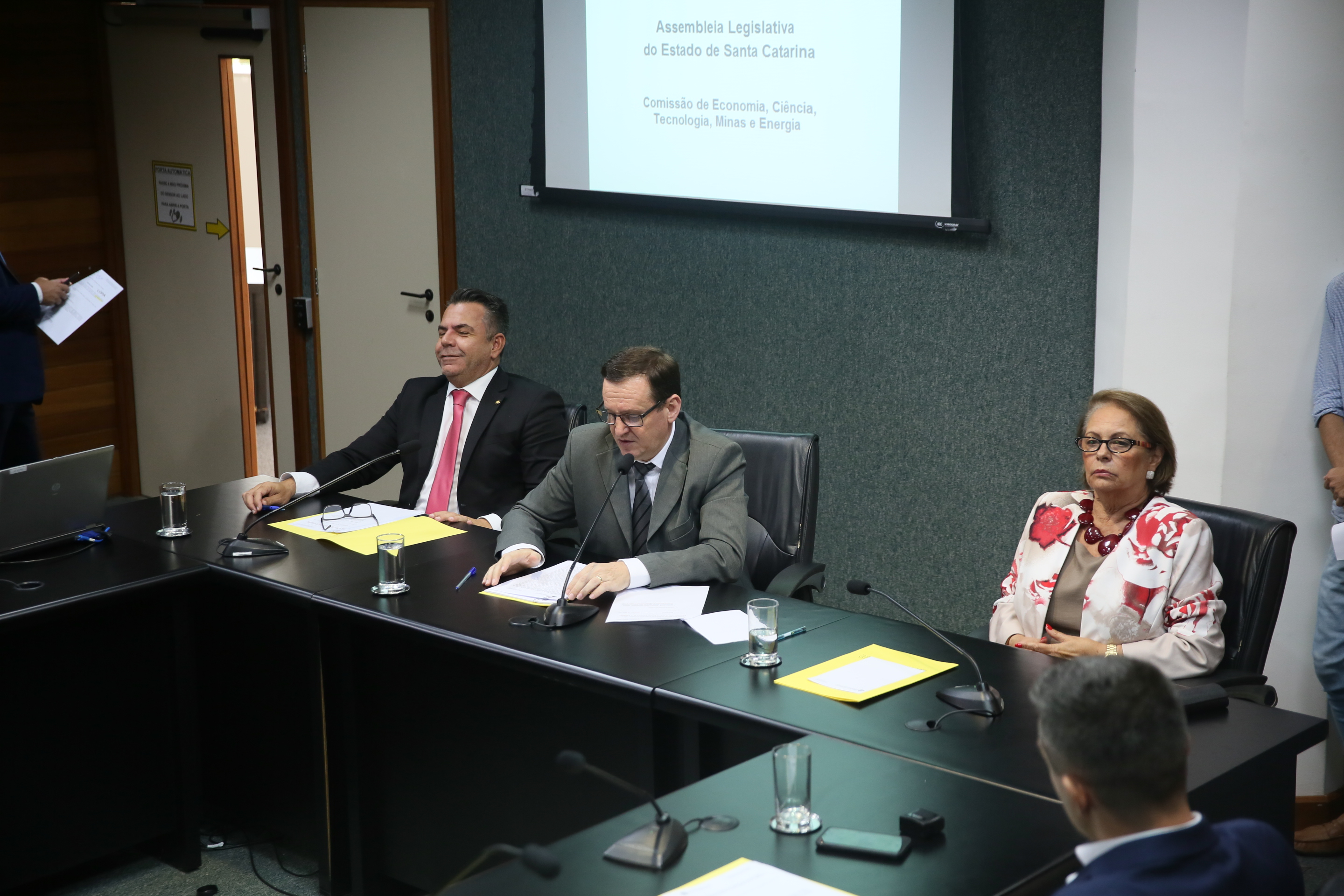 Reunião da Comissão de Economia, Ciência, Tecnologia, Minas e Energia.